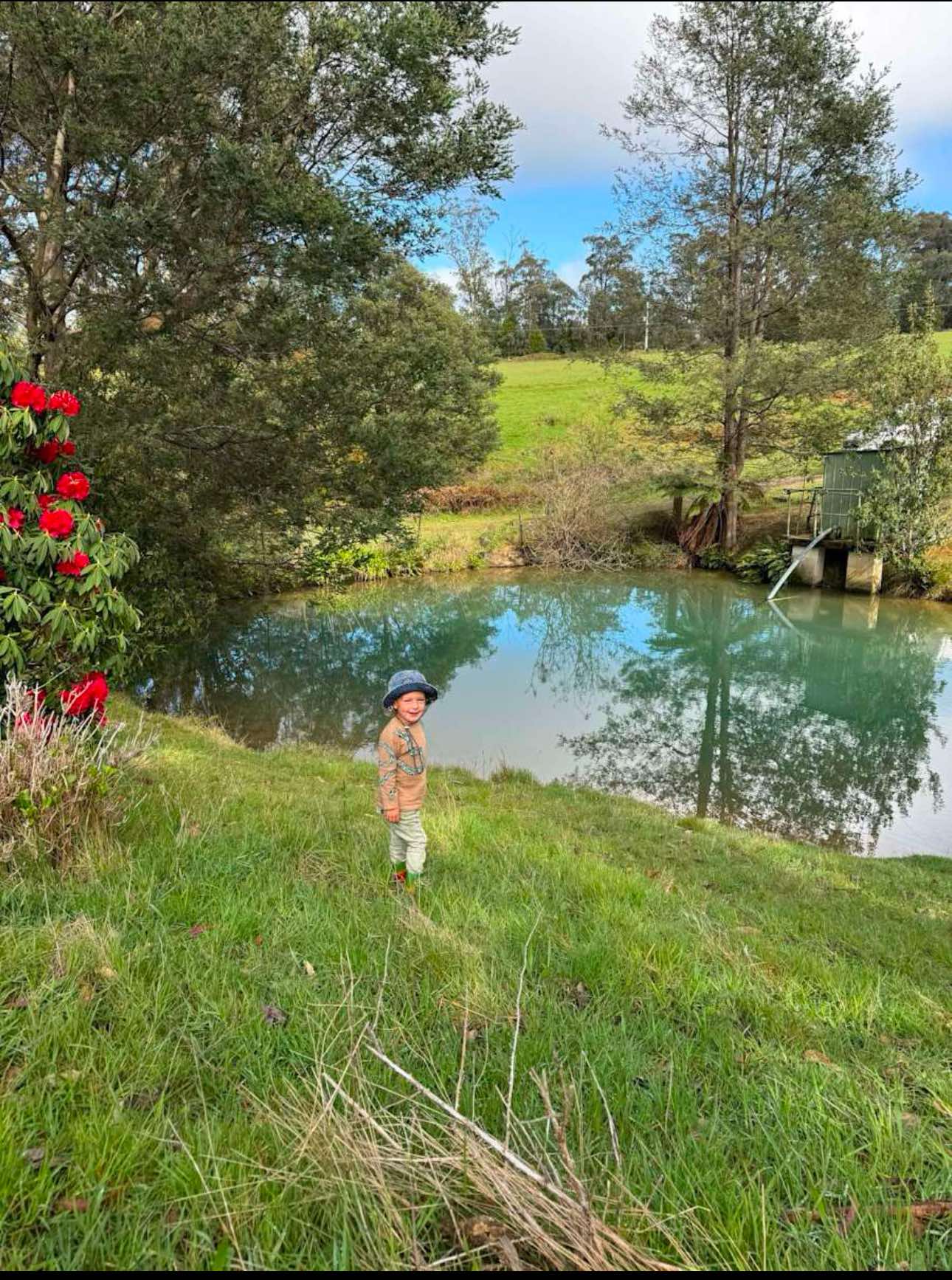 Mountain Spring - Off Grid