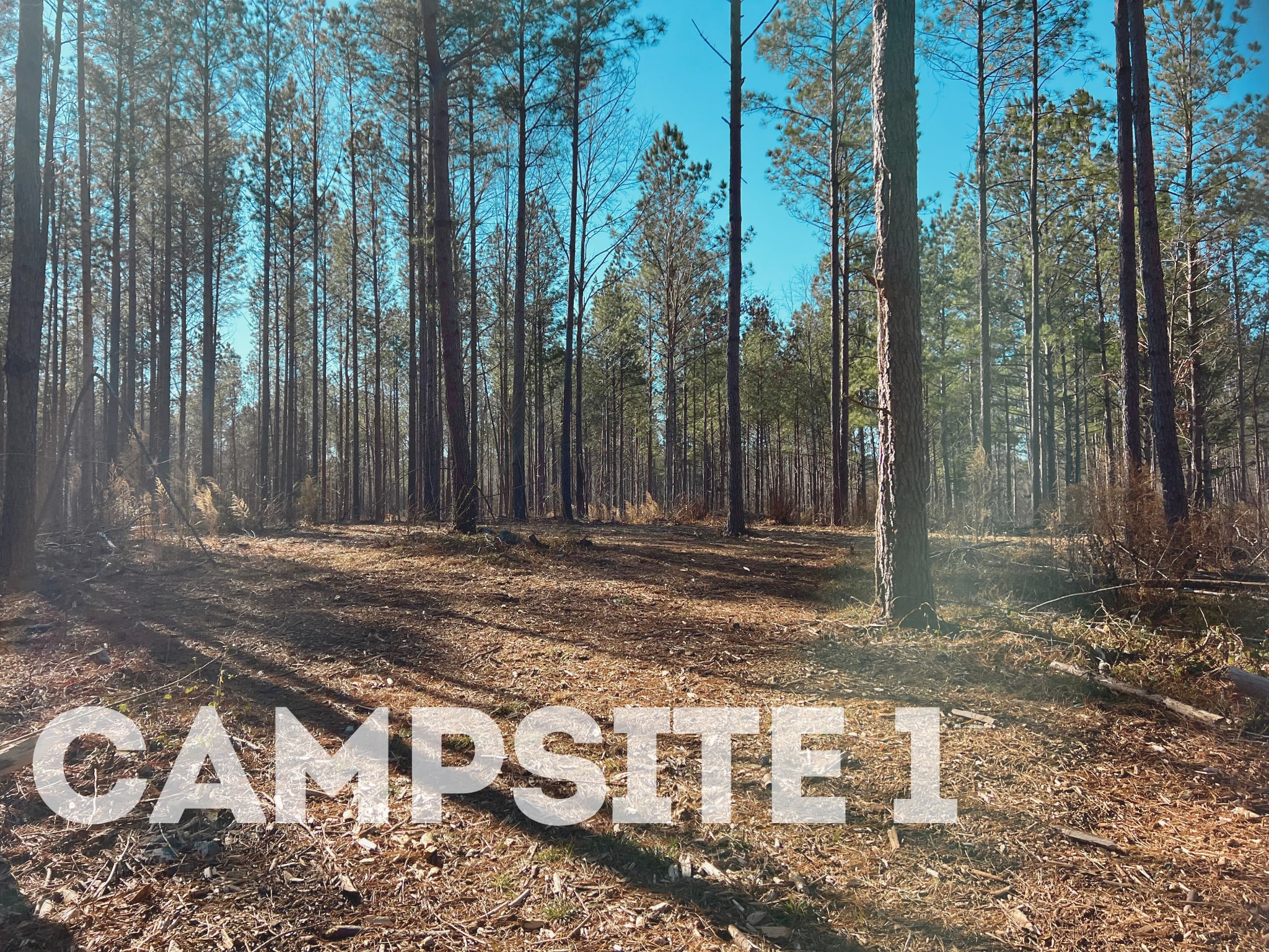 Recharge At Halcyon Farms