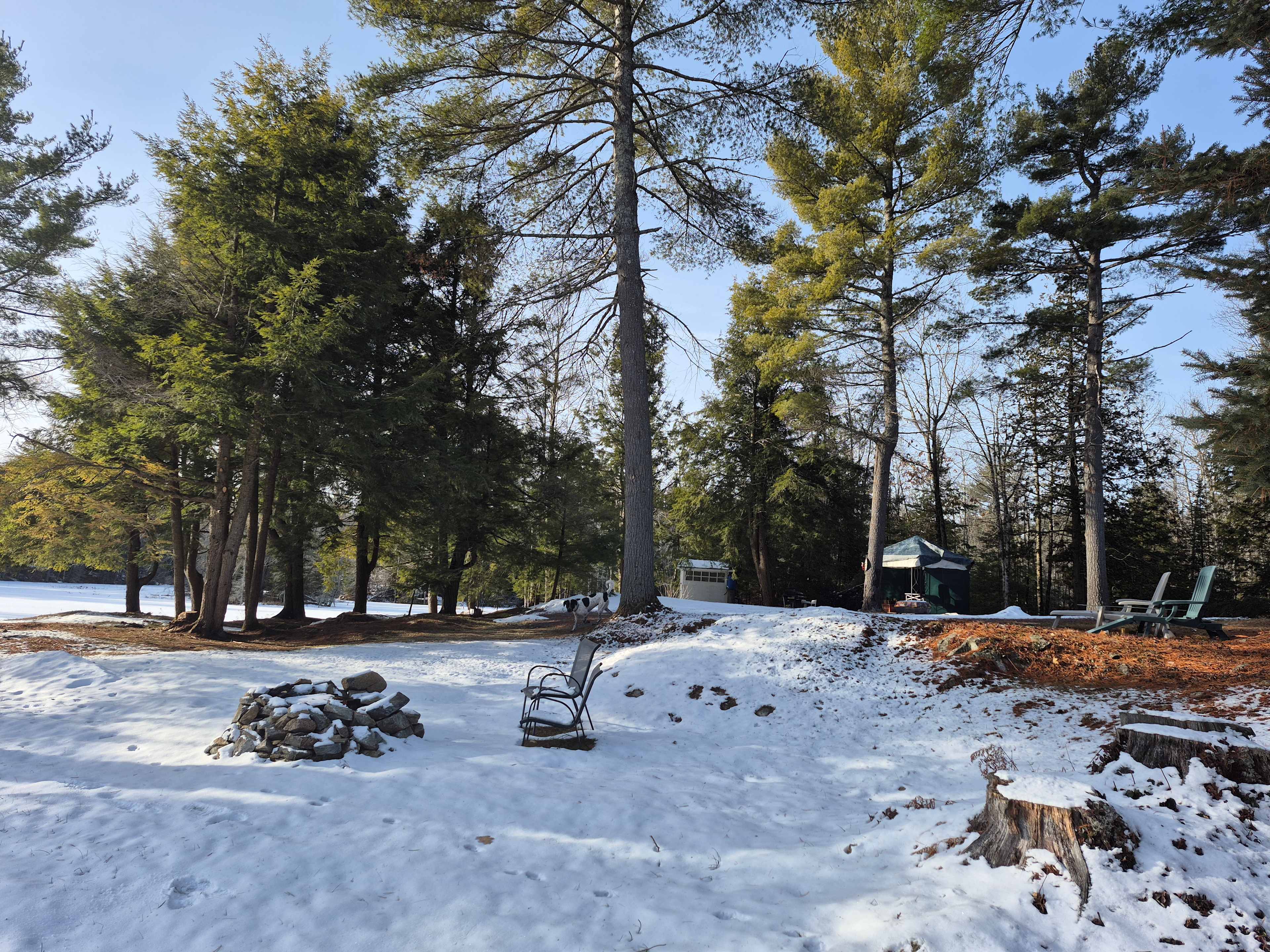 Hemlock Point Campground