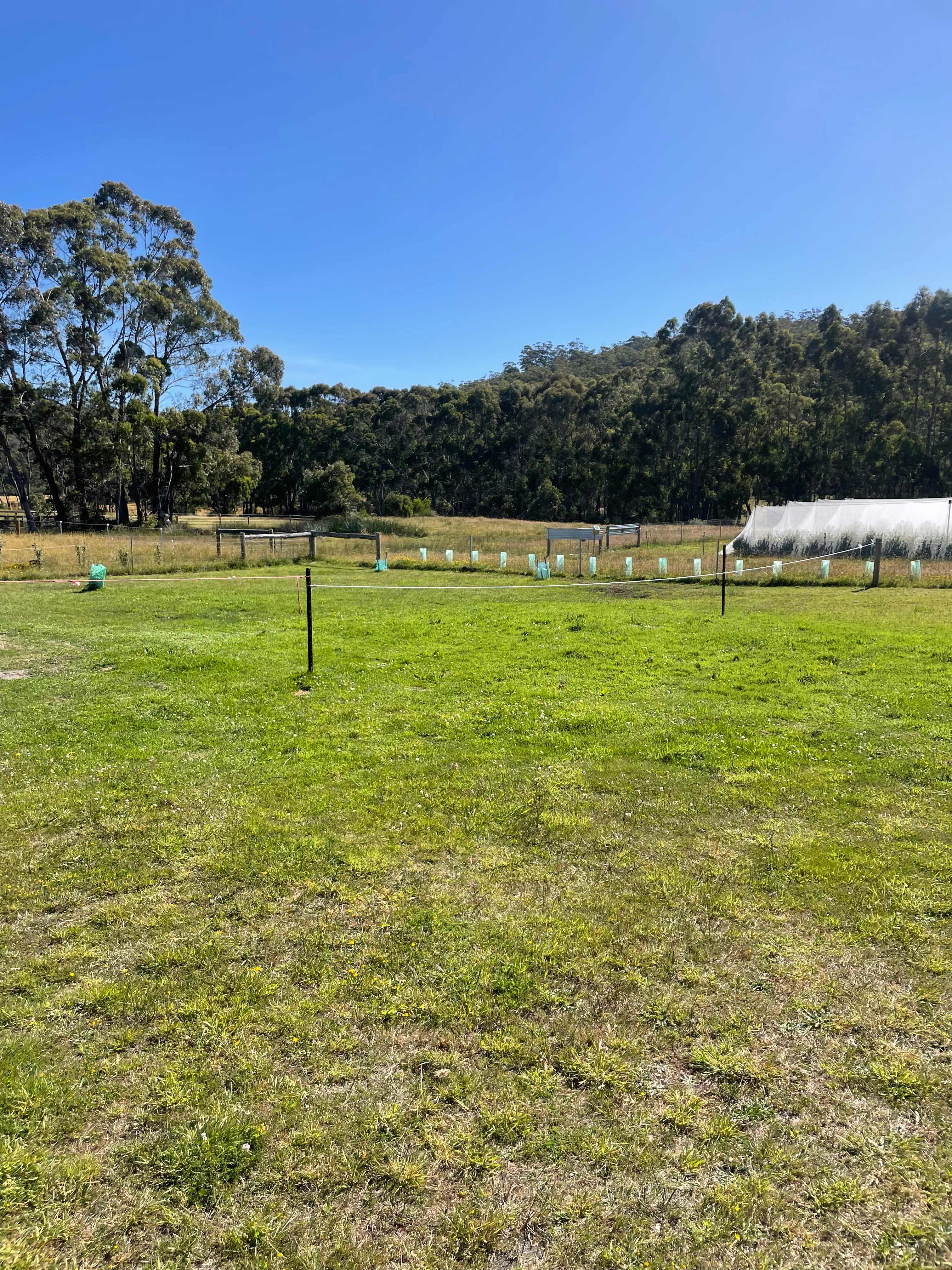 PC Campsites Taranna