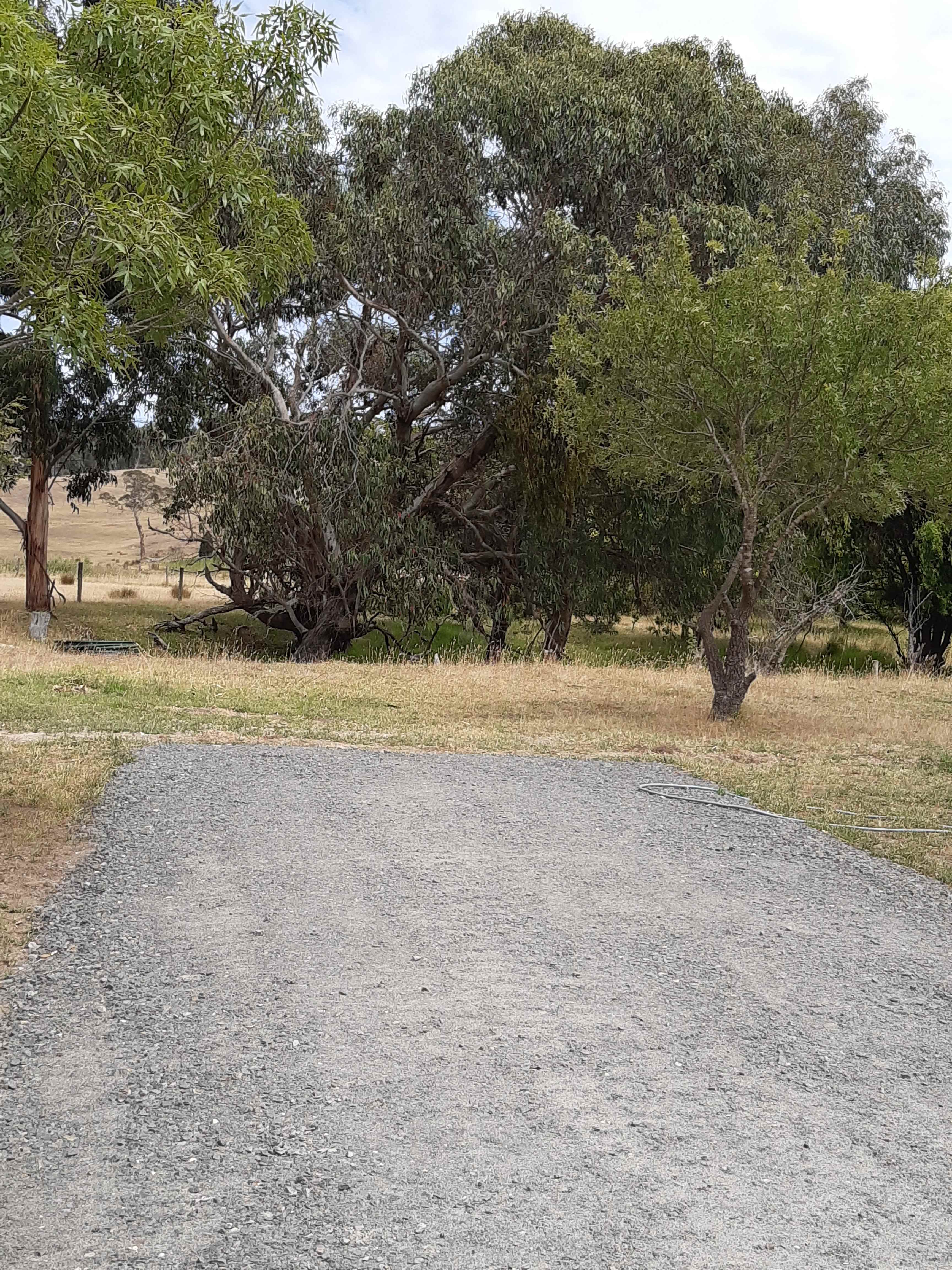 Site 3