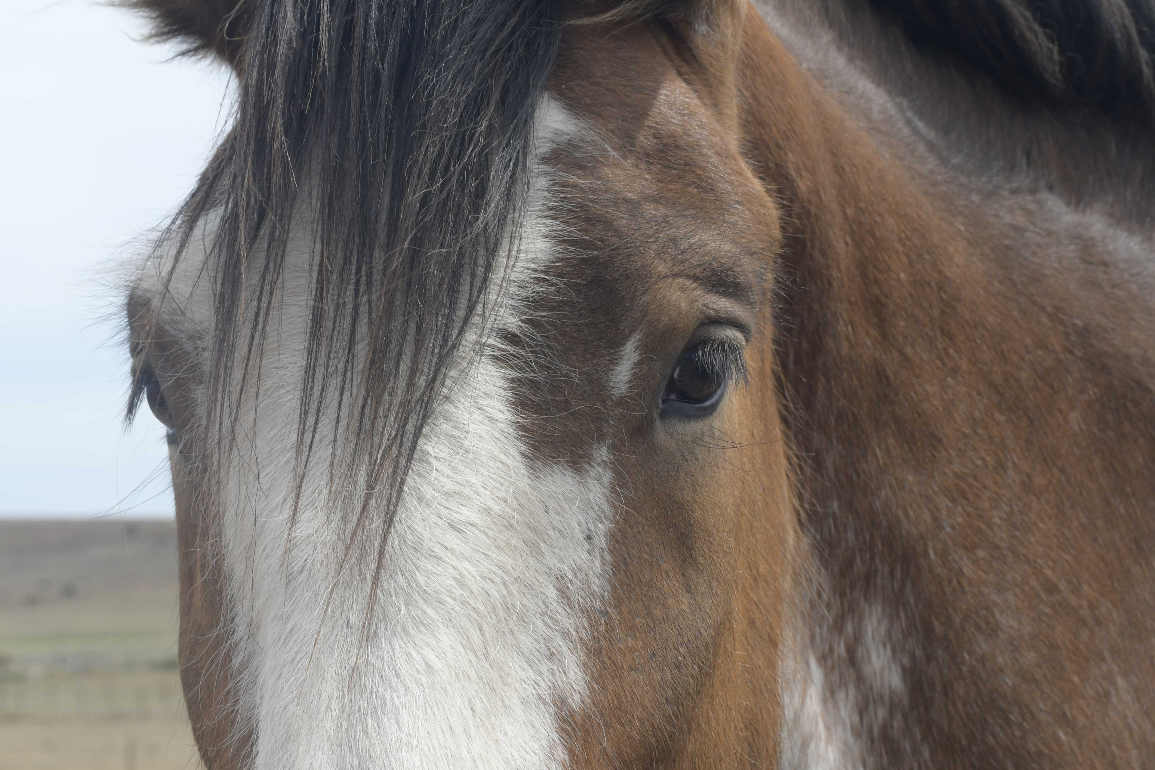 Arion Park, Campsite, YOLLA NW TAS