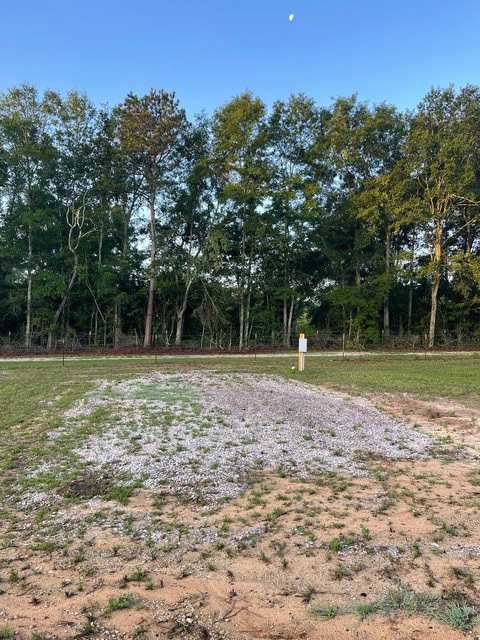 Wiregrass RV Park
