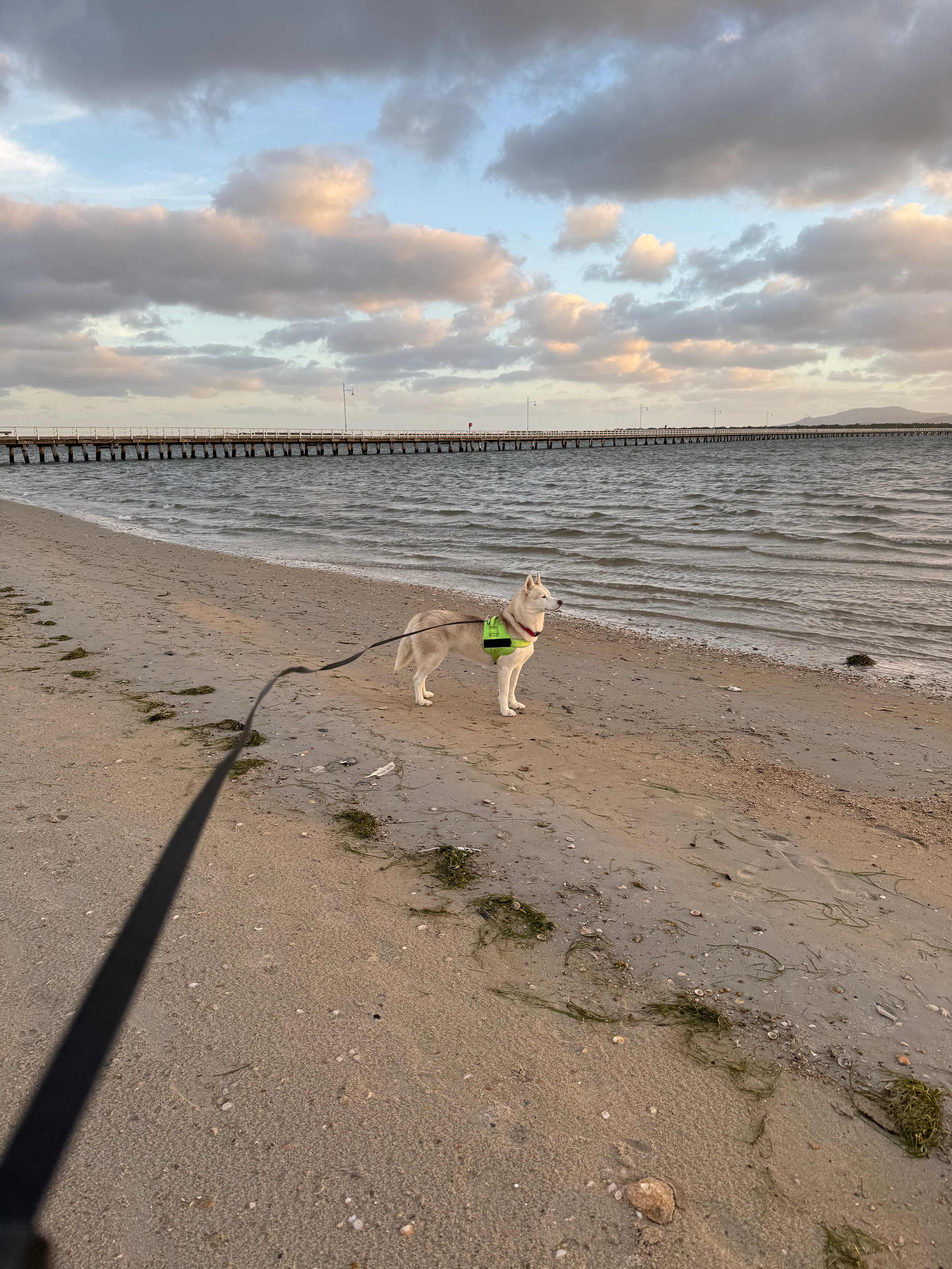 Long Jetty Foreshore Caravan Park