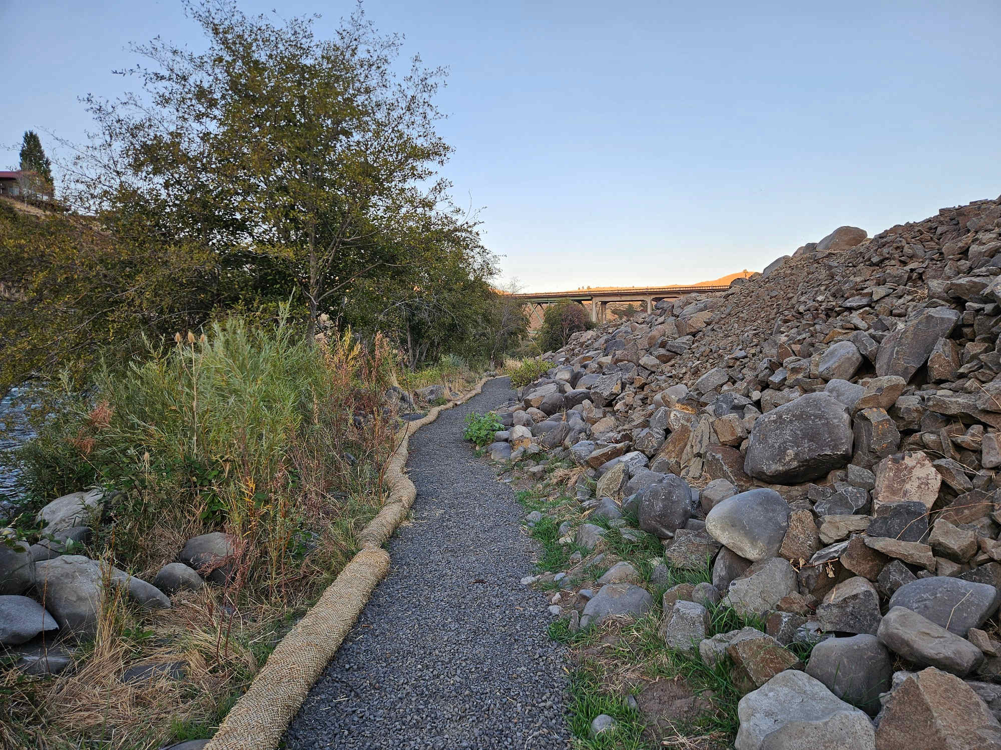 Picture of the site