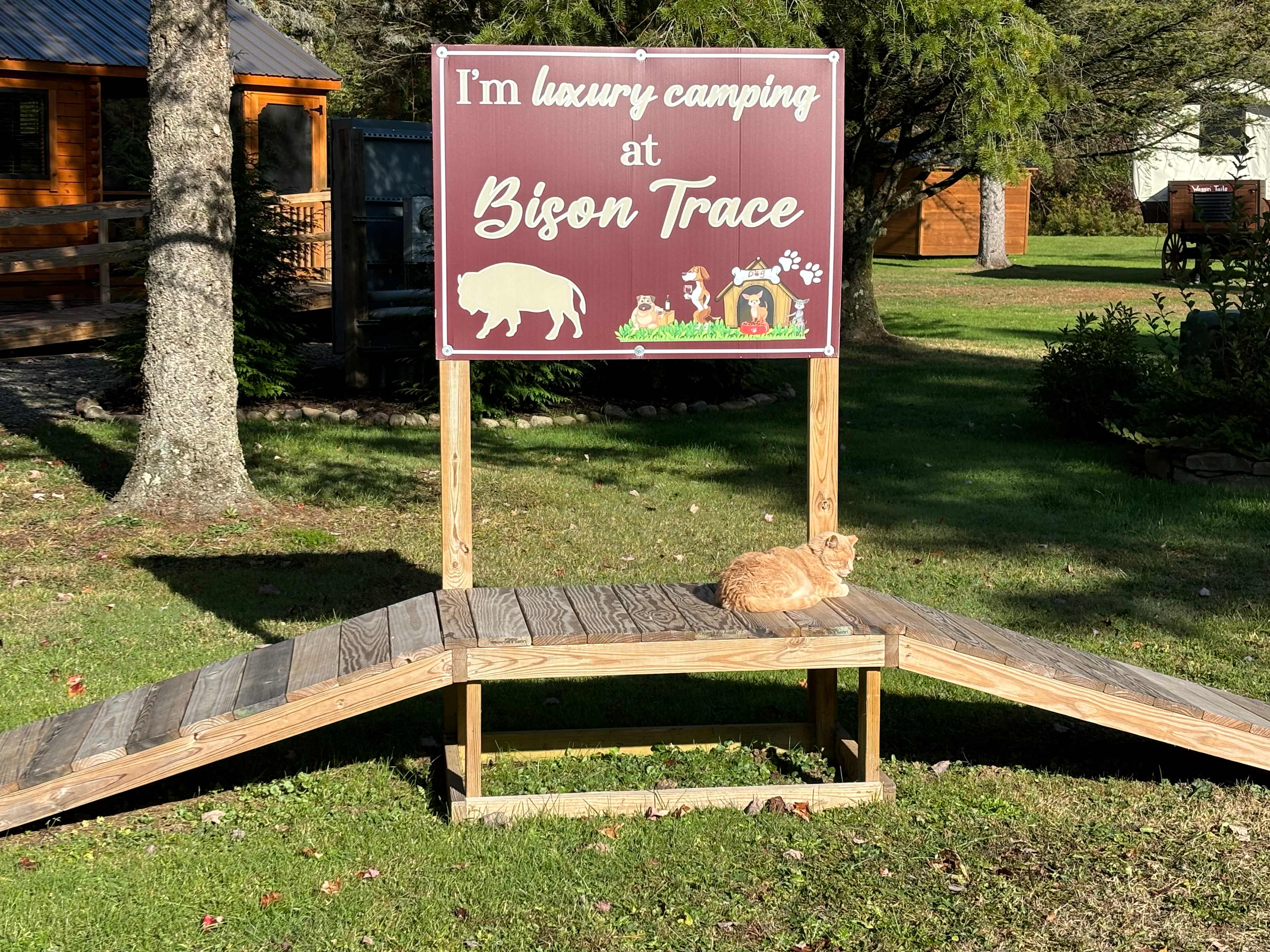 Bison Trace Luxury Camping