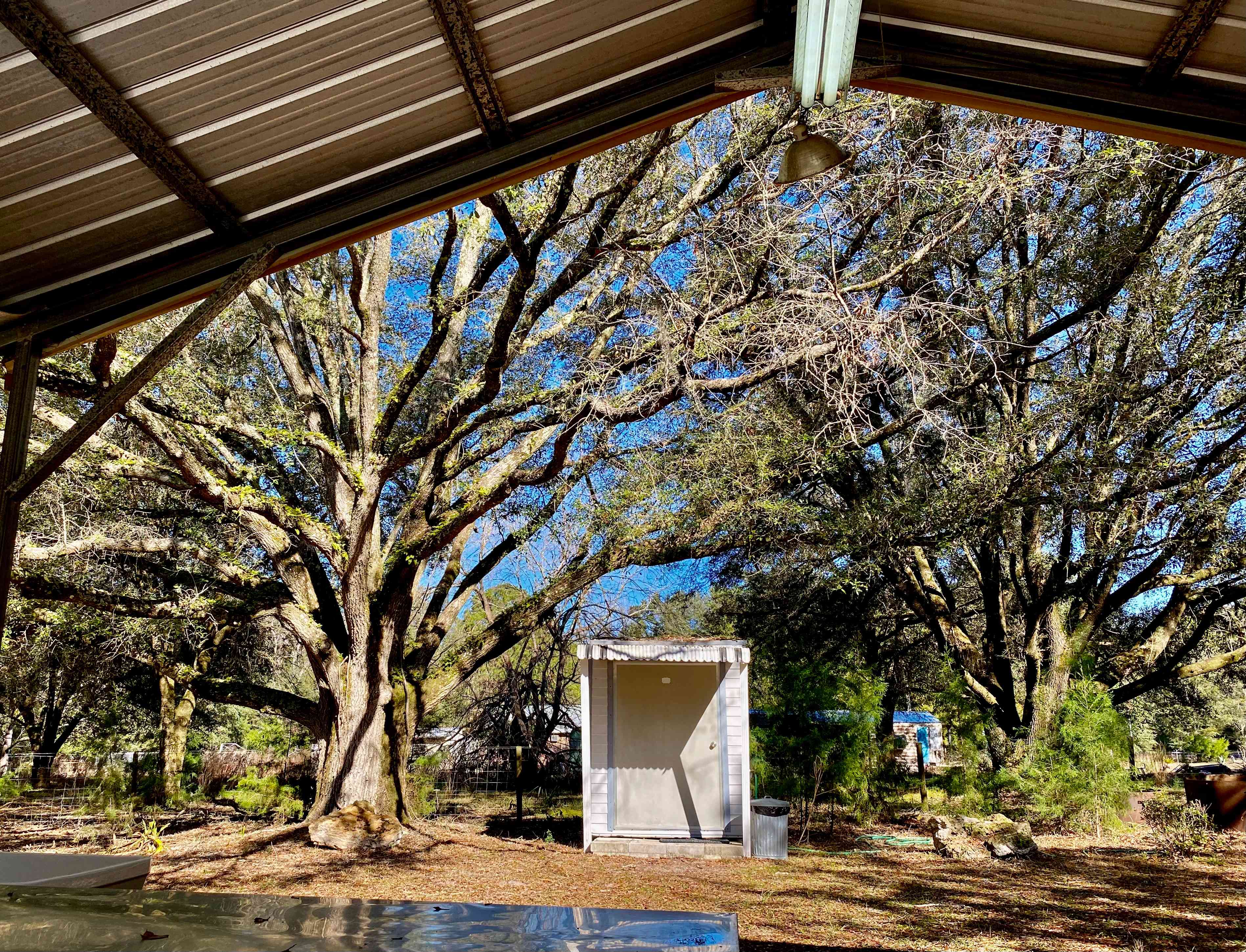 Outdoor bathroom with indoor plumbing:) immaculate
