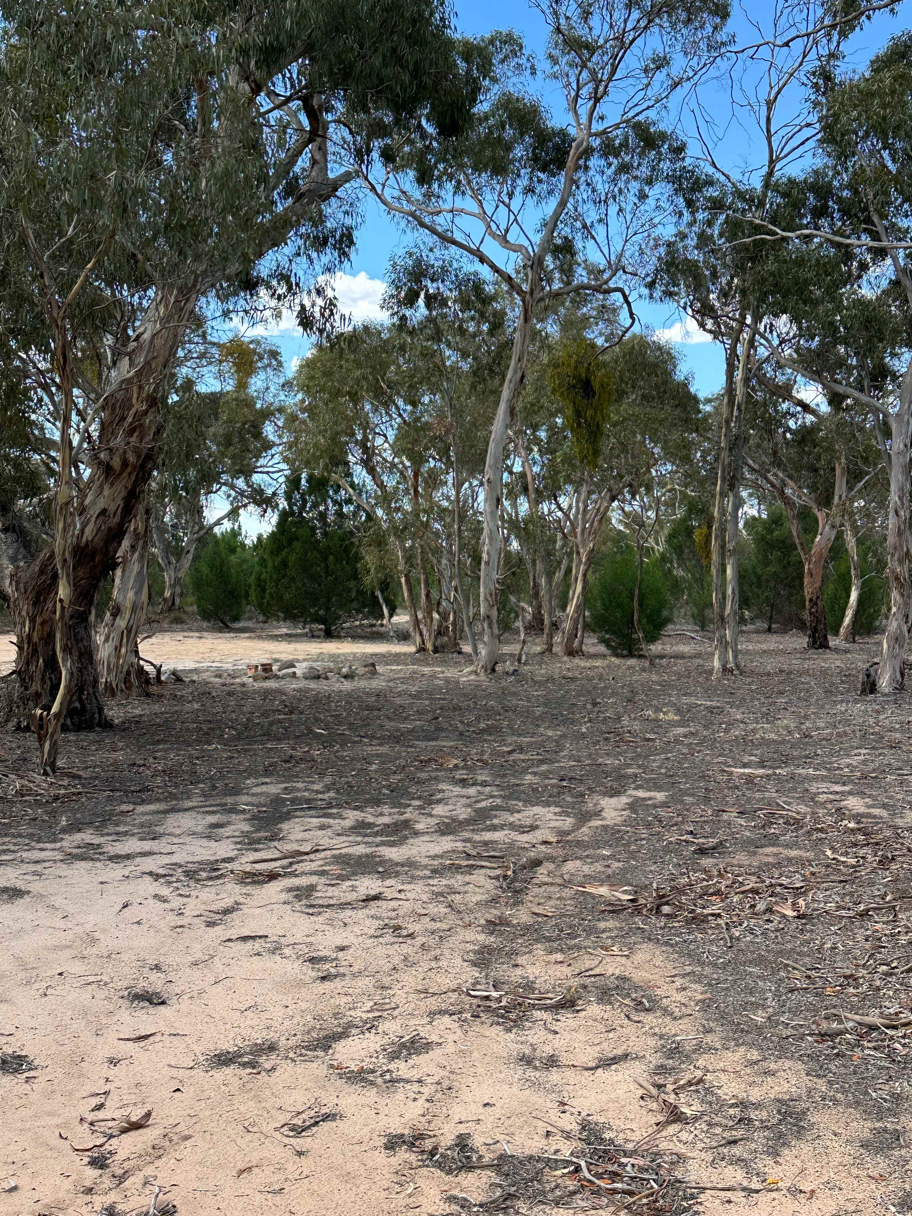 Camp area available