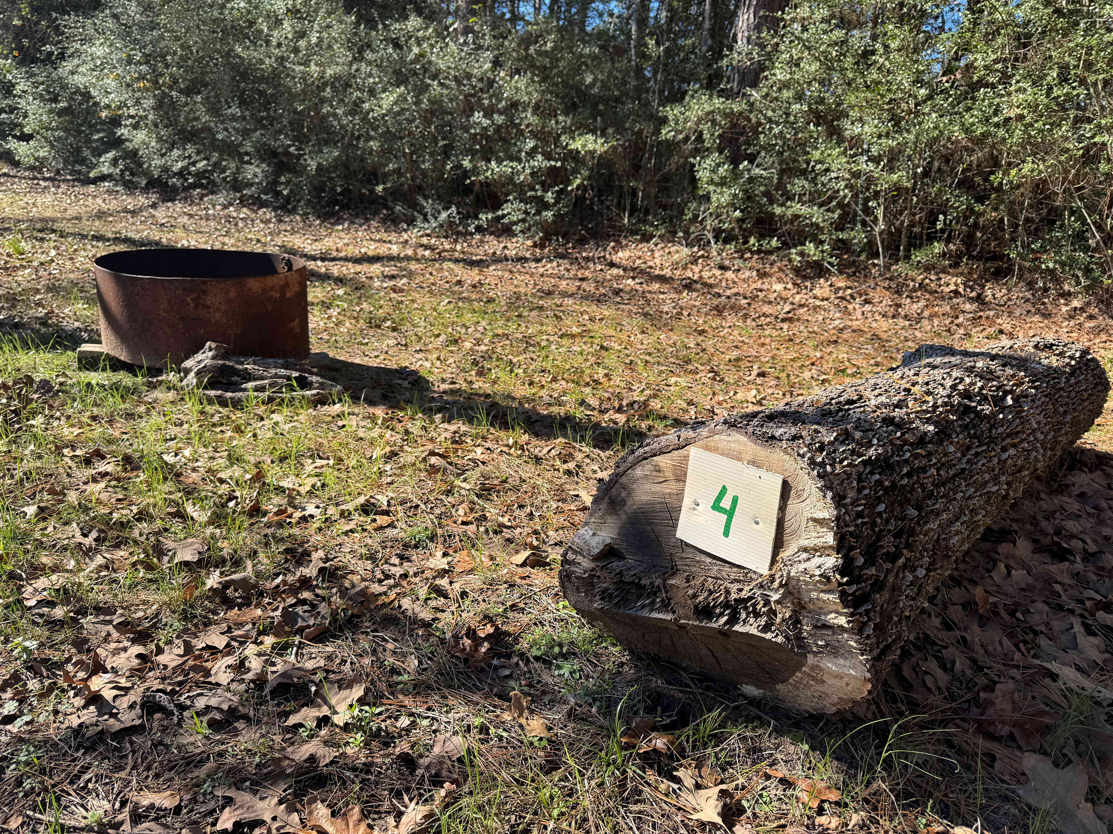 Circle C CampGrounds