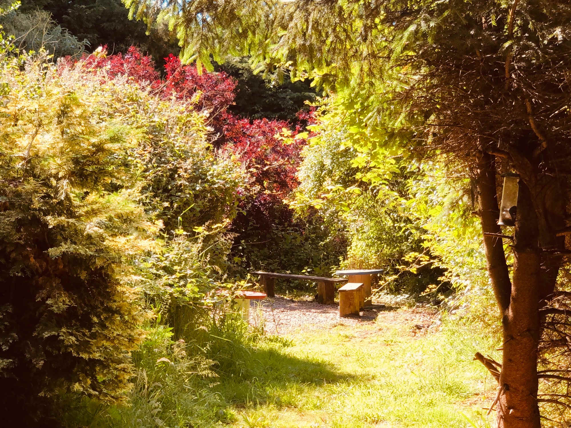 Goldcrest - Breakaway Camping
