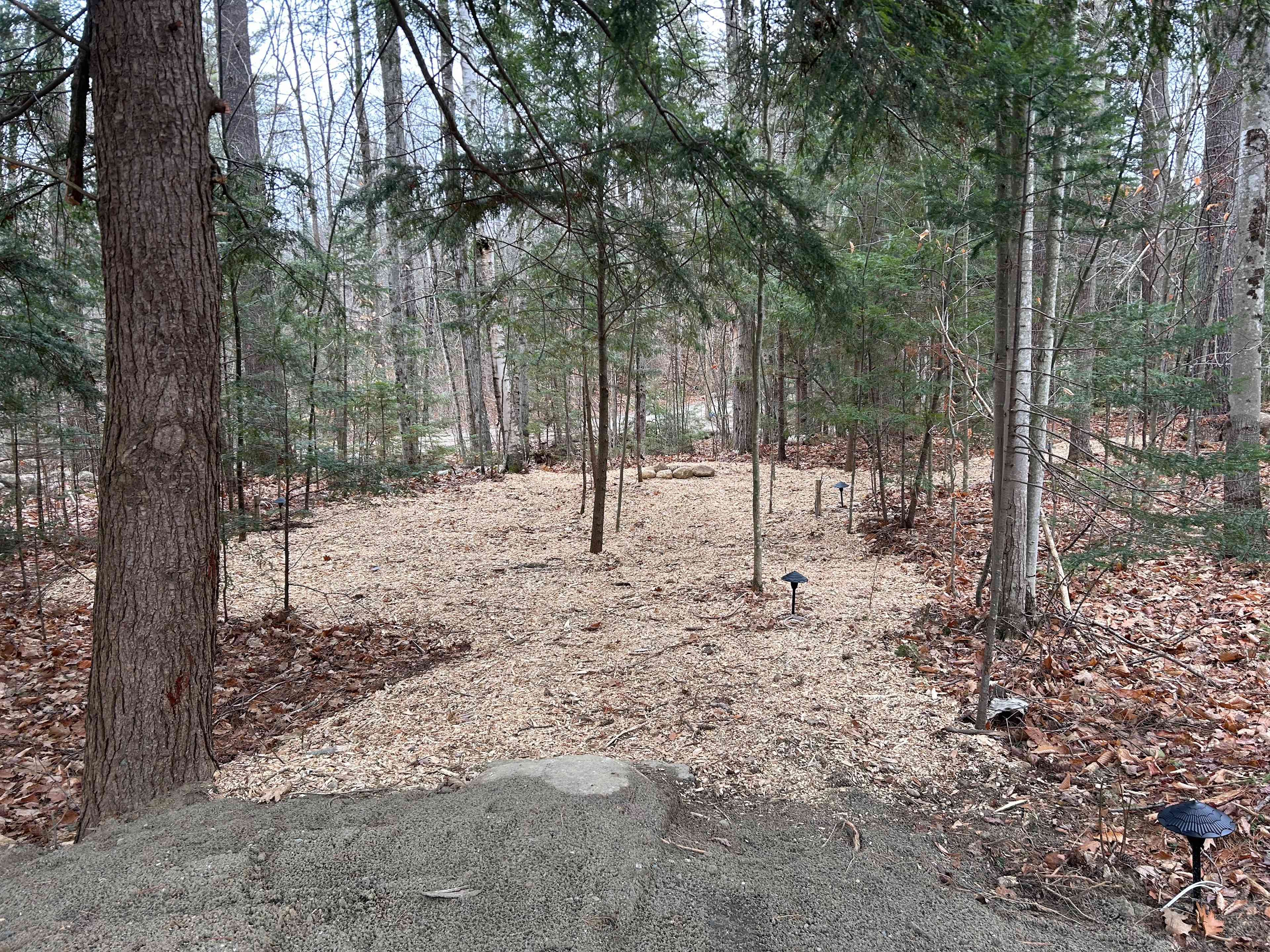 Well, lemme tell ya, this here’s the view from my little ol' parking spot. We got ourselves some good ol’ electricity 'n' them fancy low voltage lights all 'round the place. Makes it real nice when the sun goes down, ya know? Perfect for a campin’ trip, if ya ask me!