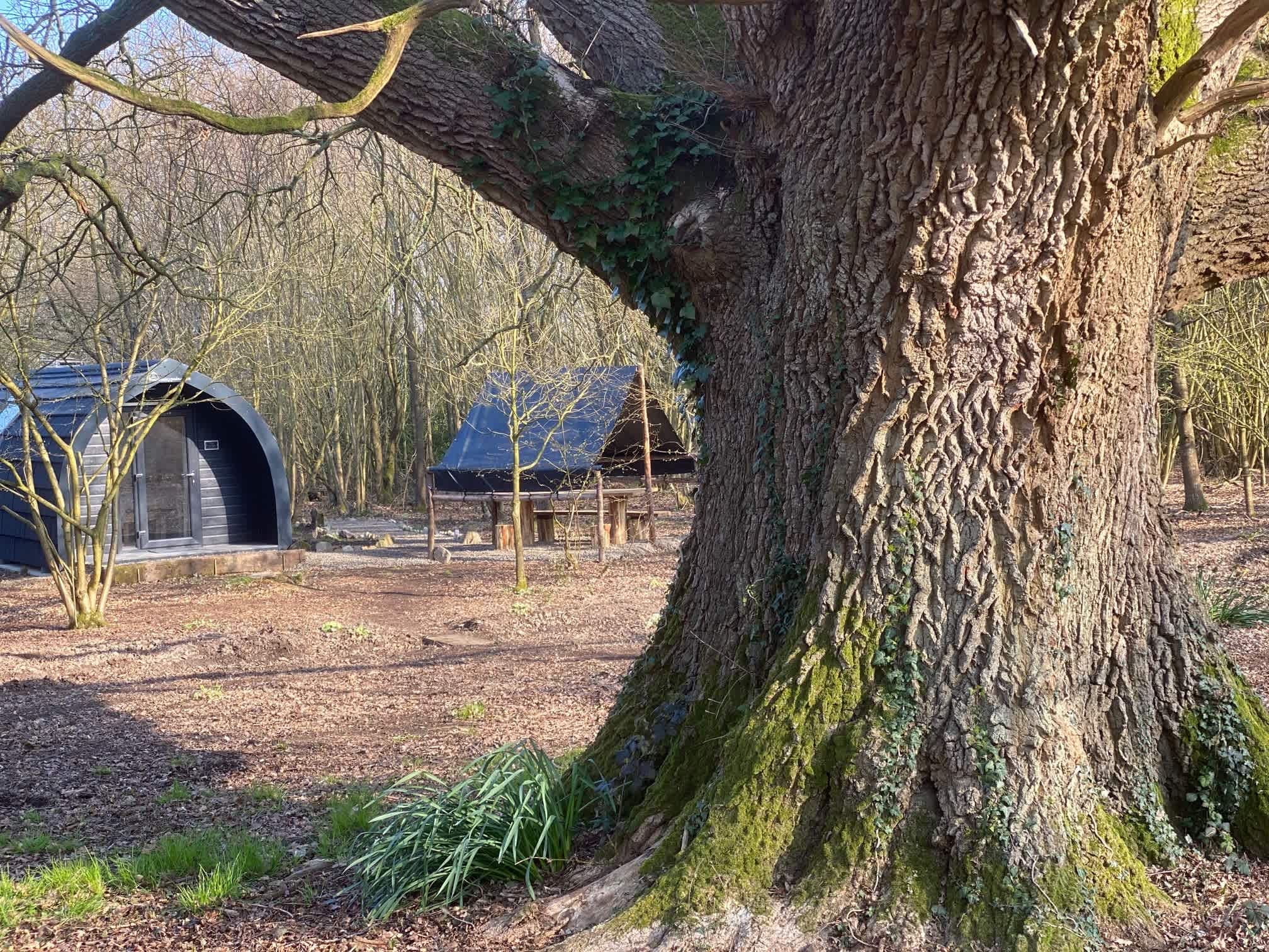 Quaint Farm in a National Park