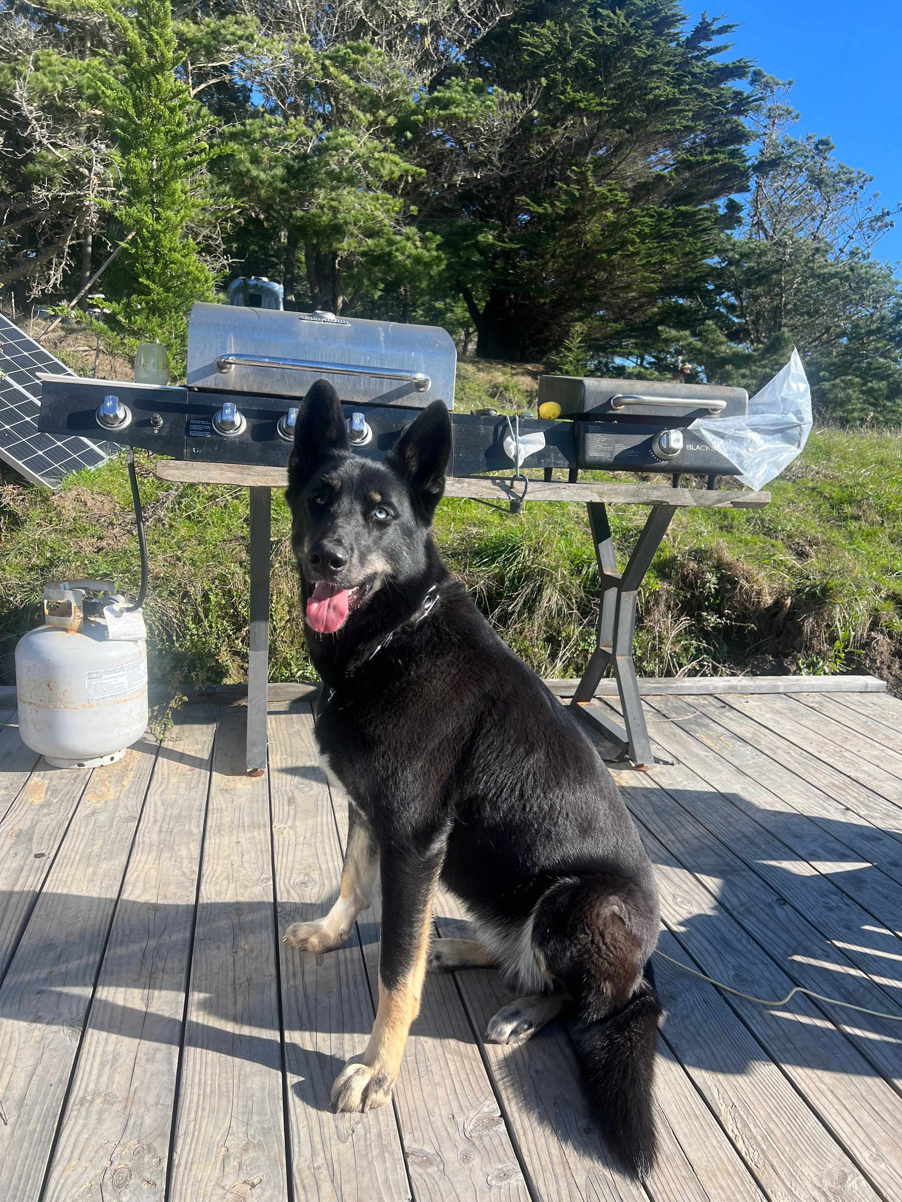 Tunitas Beach Overlook - Airstream