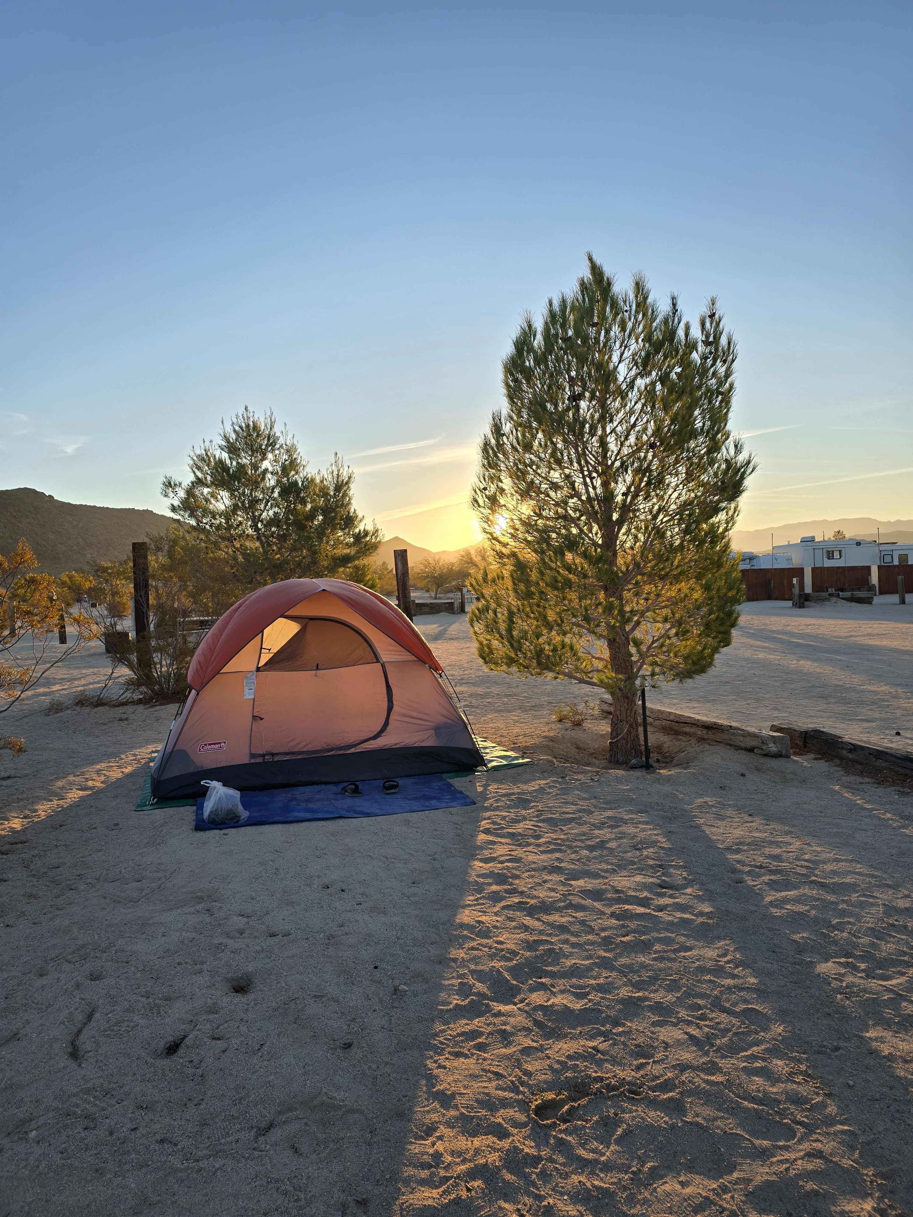 Picture of the site