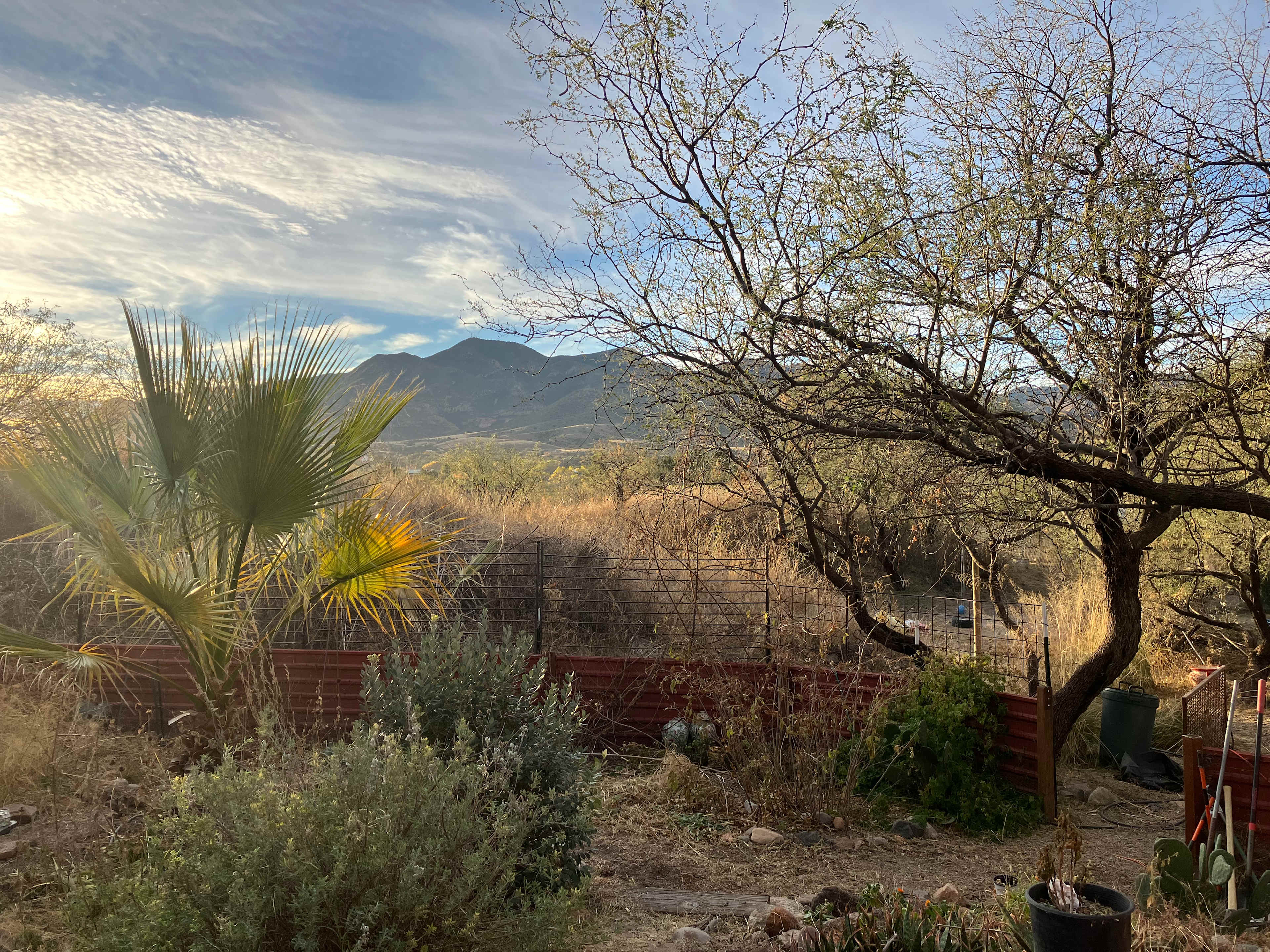 Desert Solitaire at Rainbow Hills