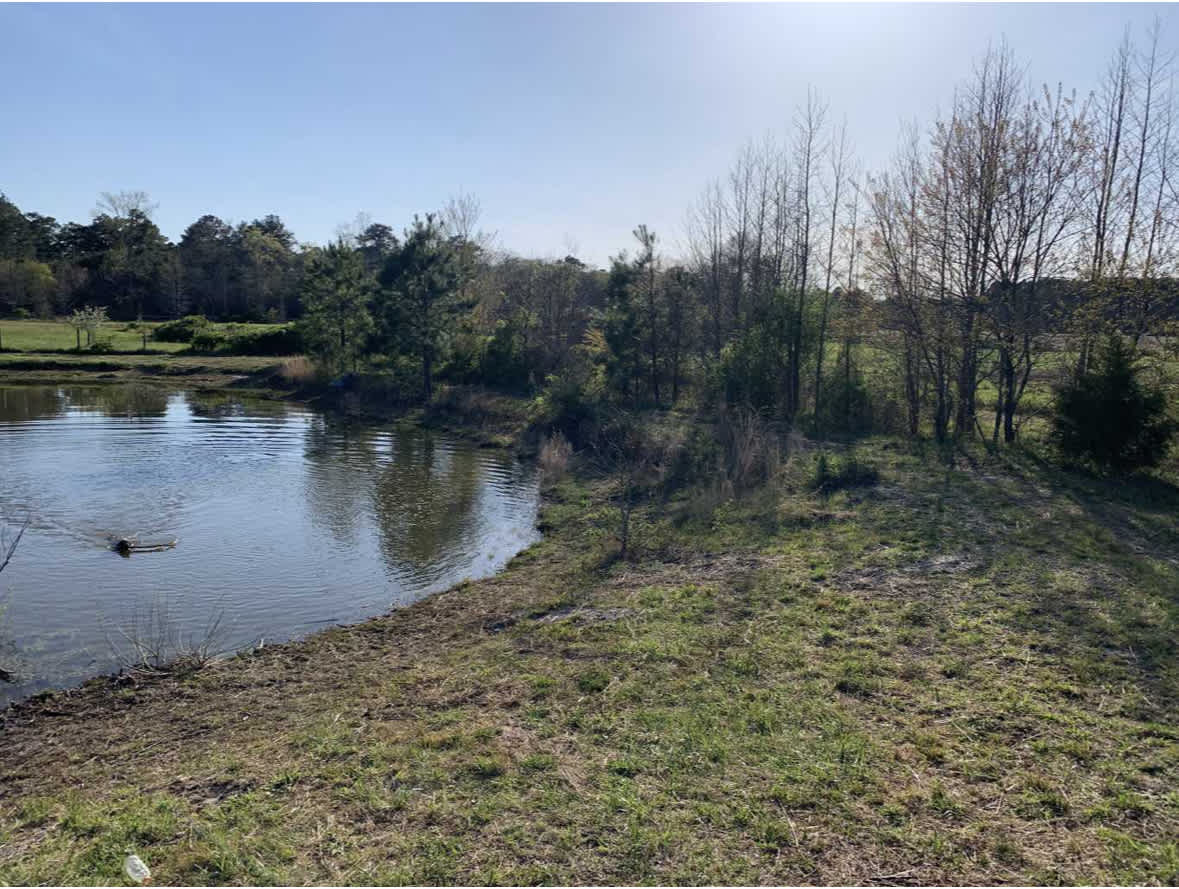 Secluded Off Grid Spot Near OCMD