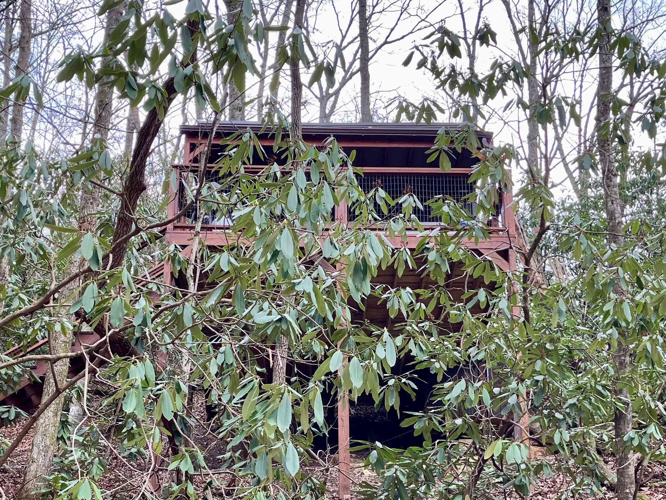 Treehouse #2 as seen from the gravel drive below