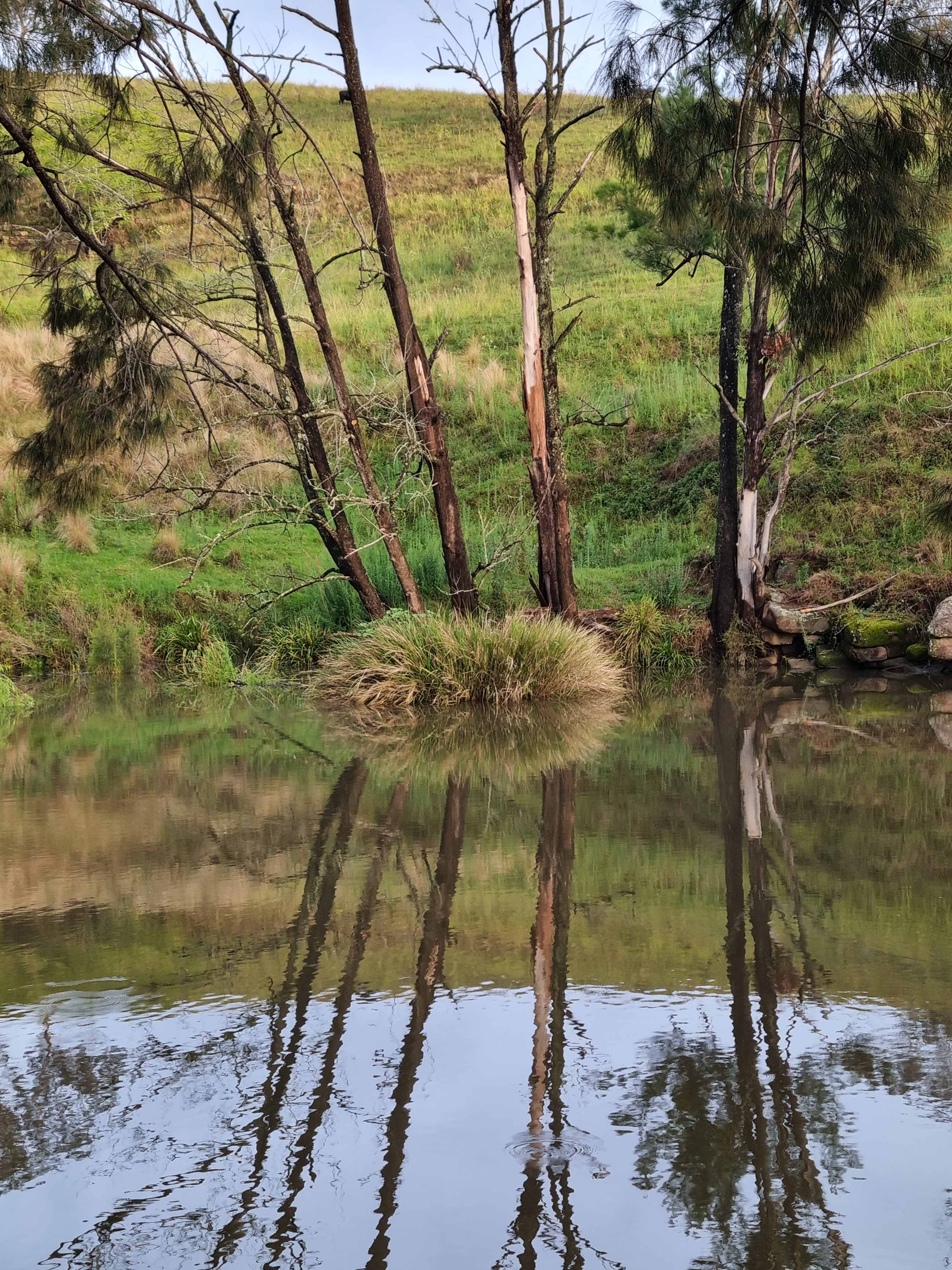 Eudlo Riverside Camp