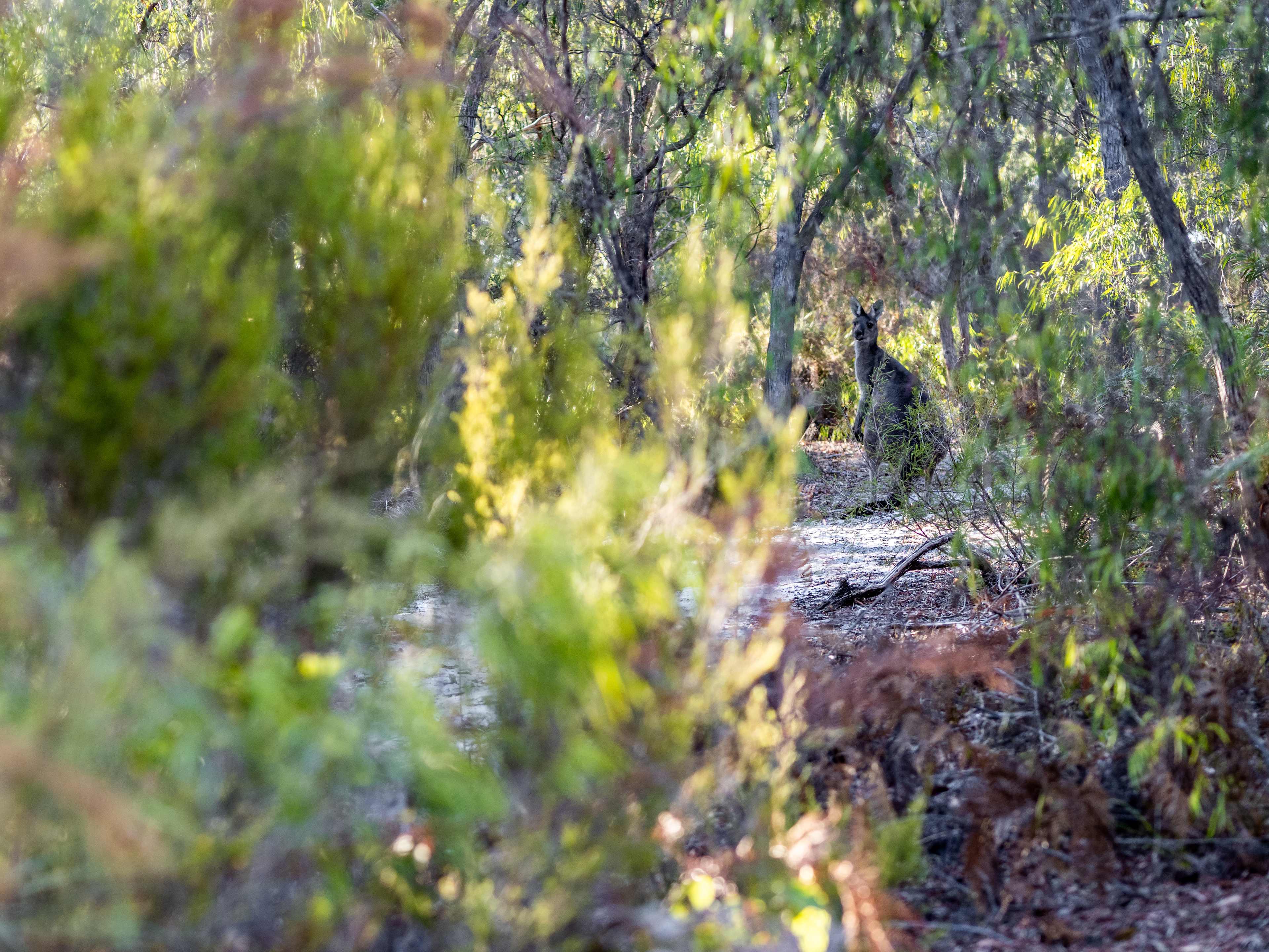 Dunmore Homestead Farmstay