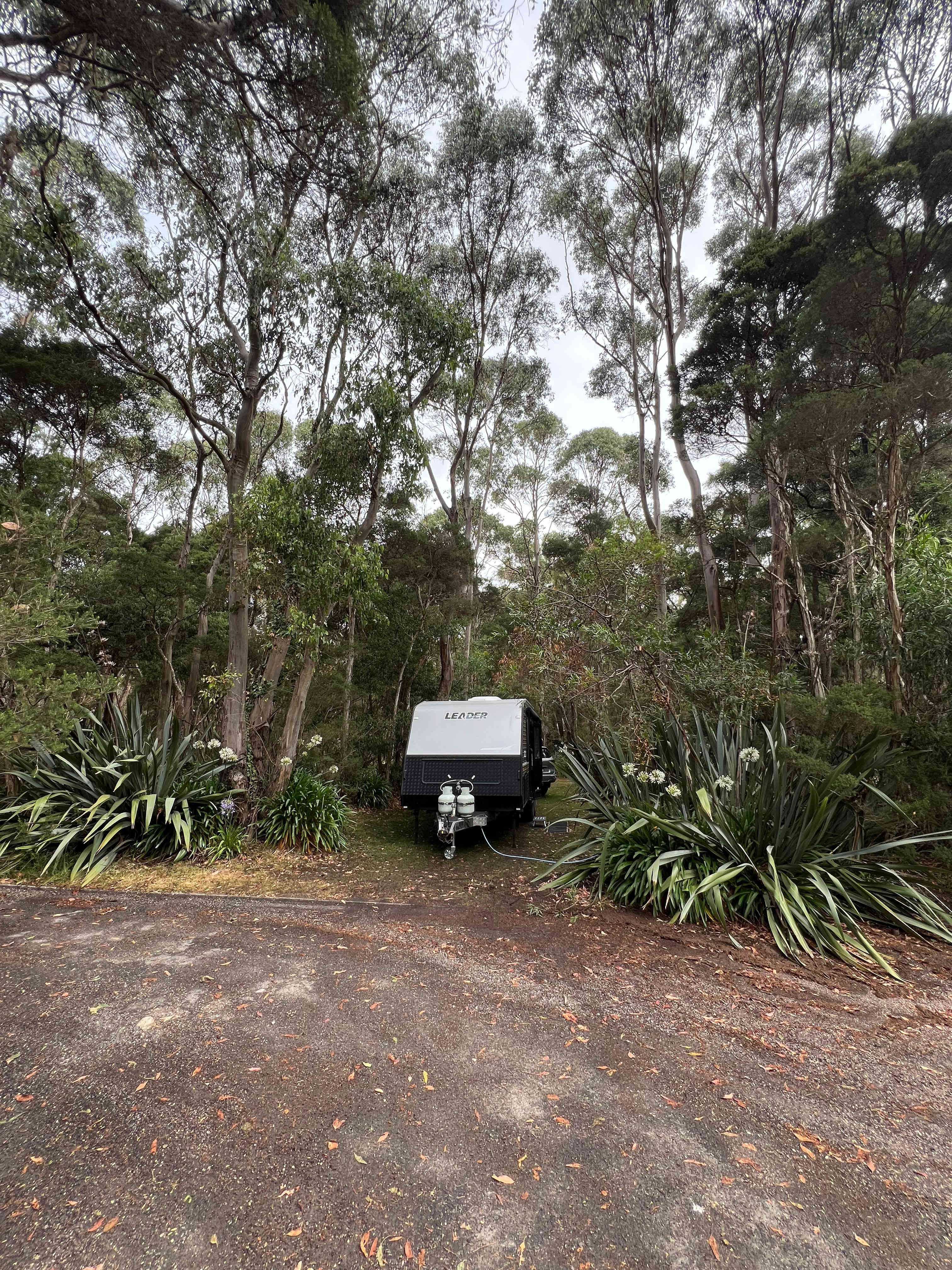 Crayfish Creek Van and Cabin Park