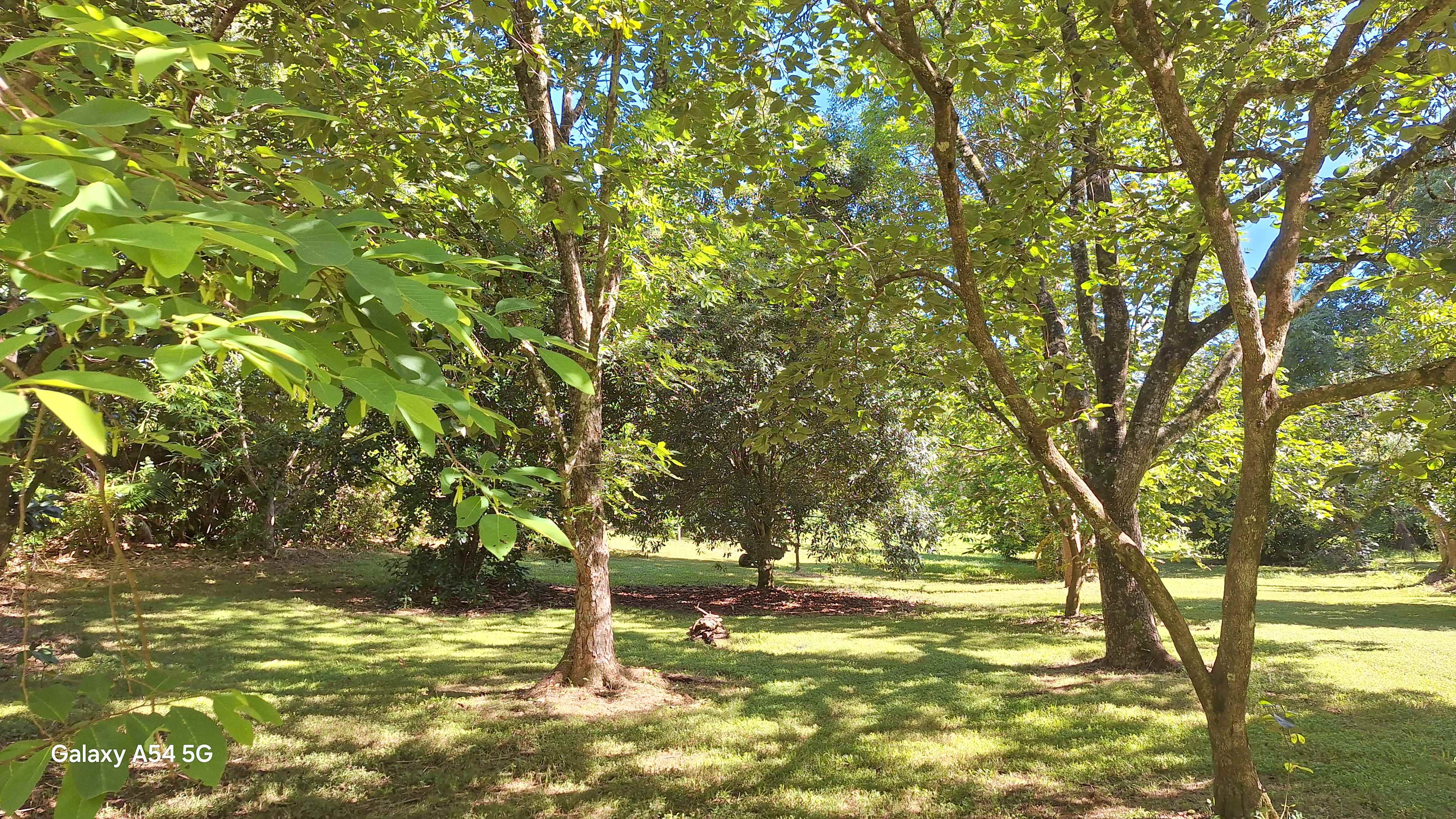 Burringbar Camping