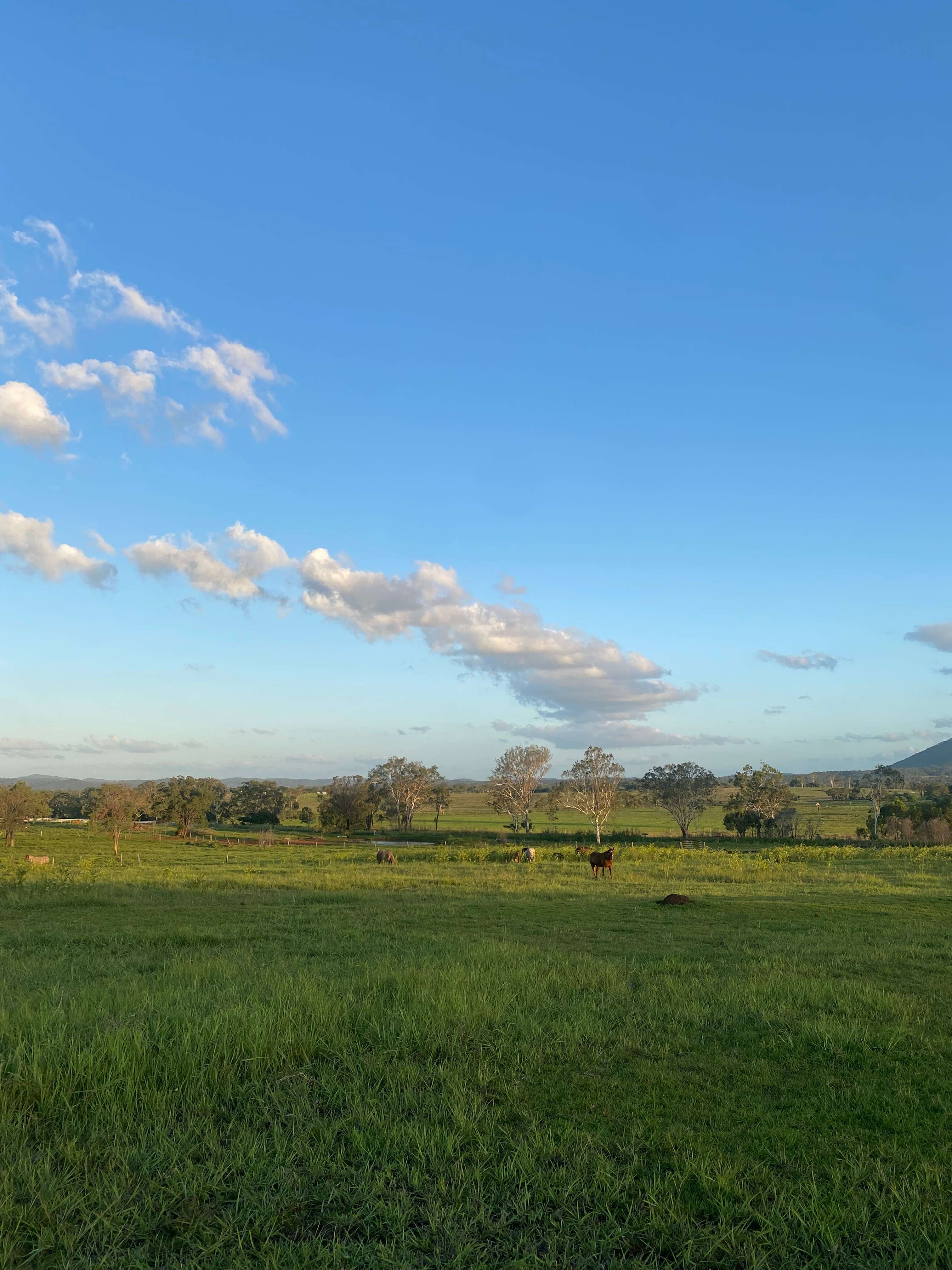 Horse & Hillview