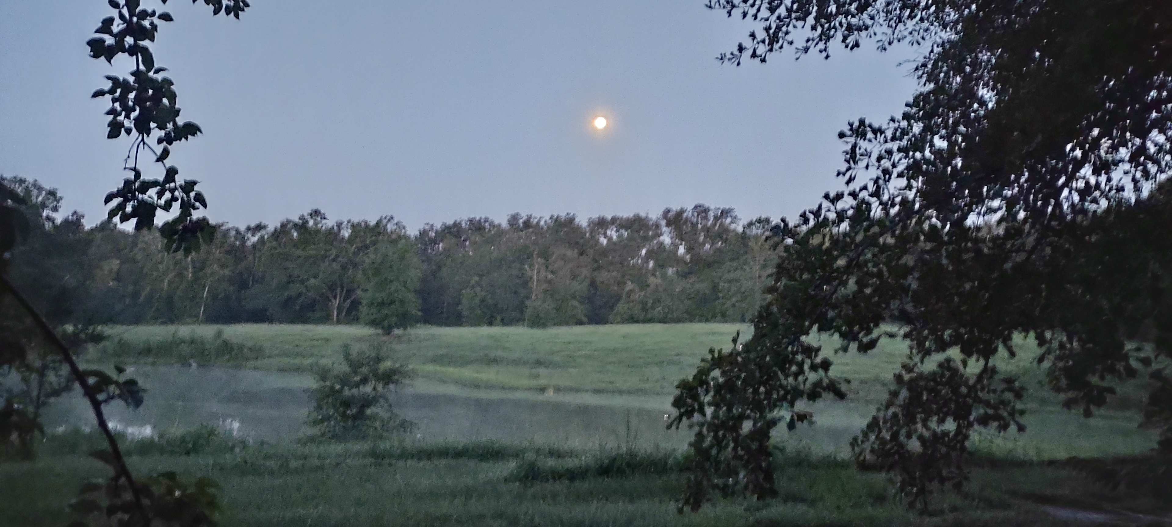 North FL Equestrian Short Stay