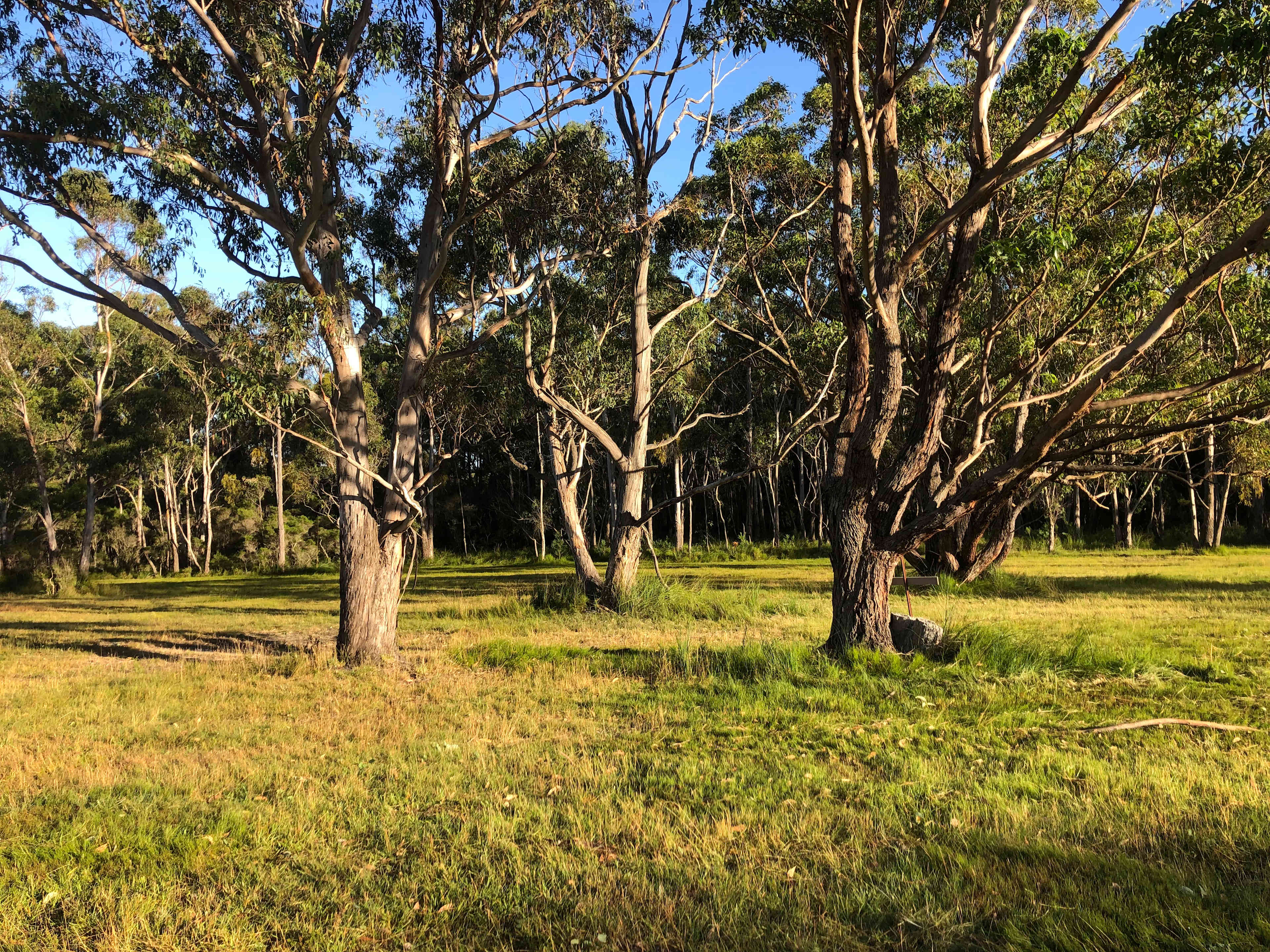 Lake Corringle Camp Park