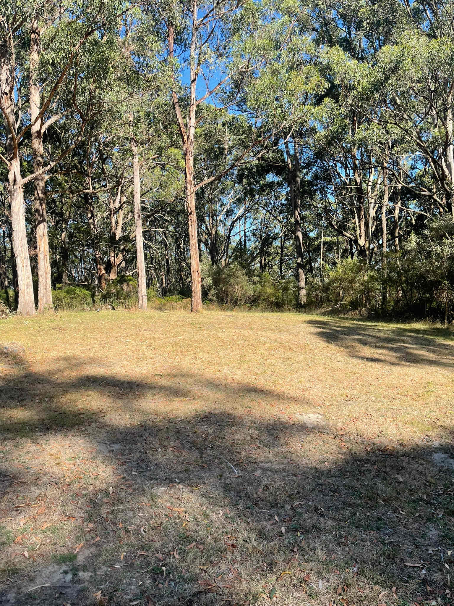 Dobbins Road