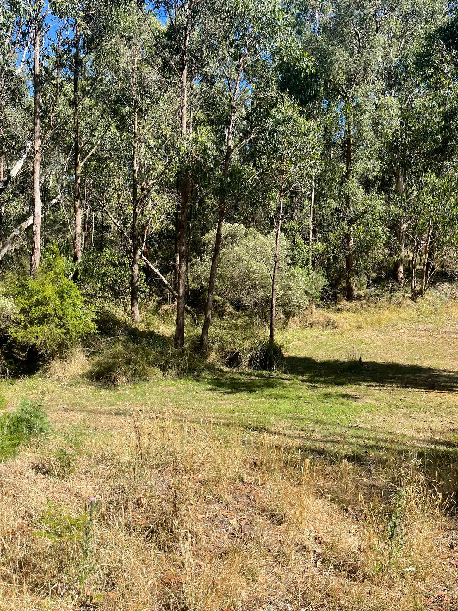 Dobbins Road