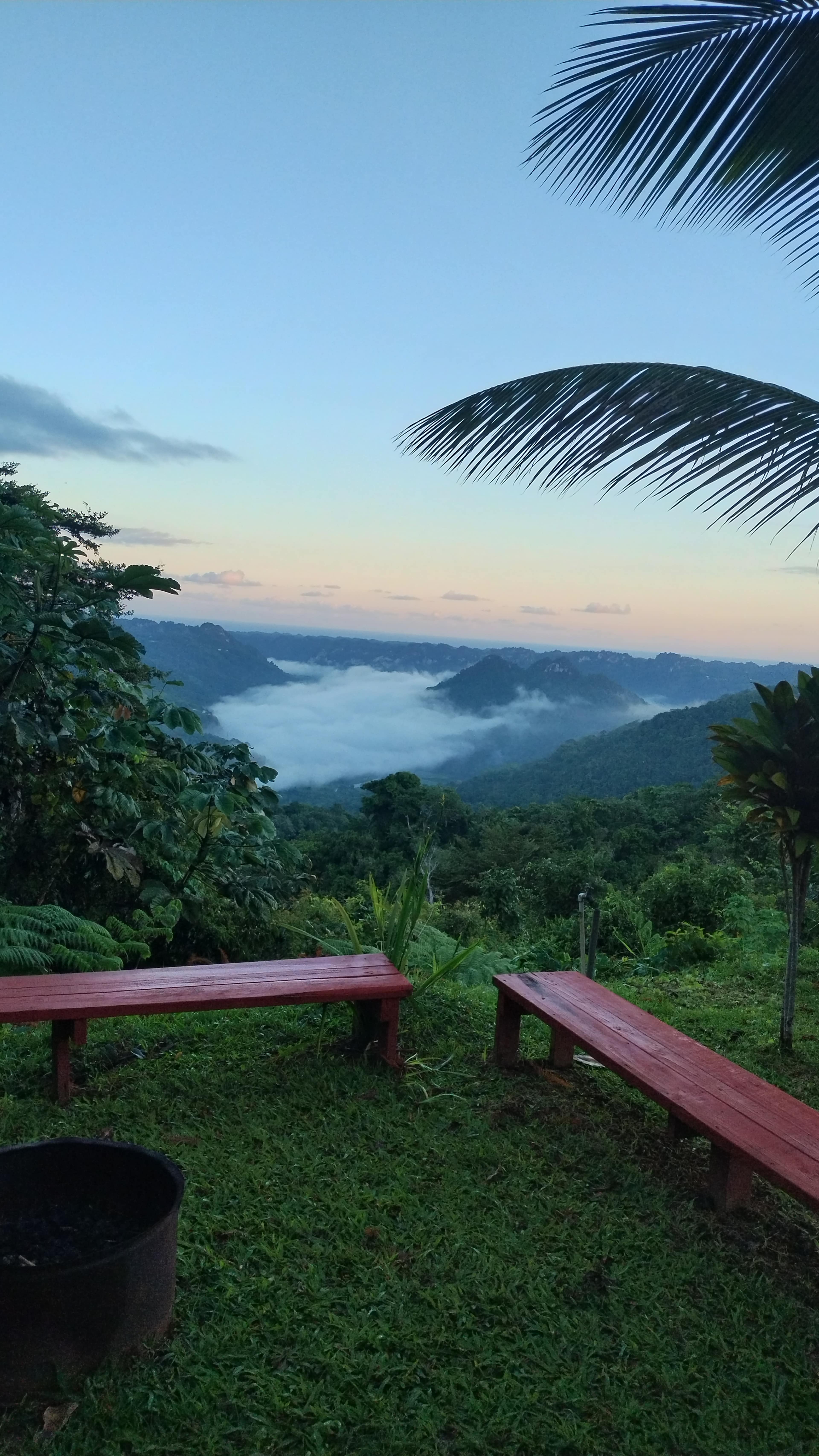 Rainforest Campground & Glamping