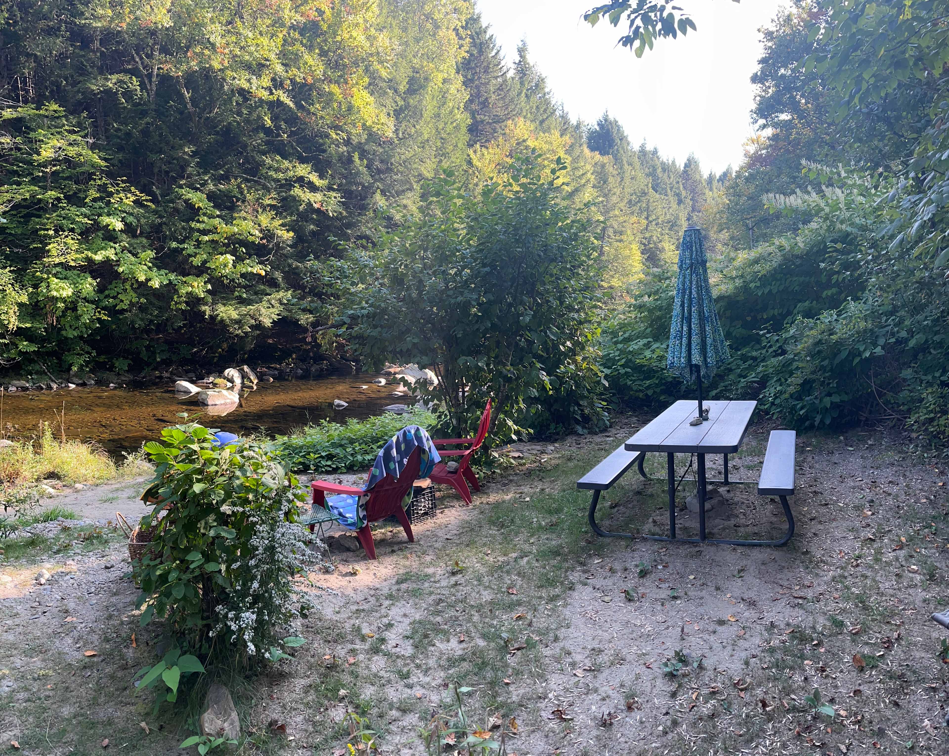 picnic table on the river