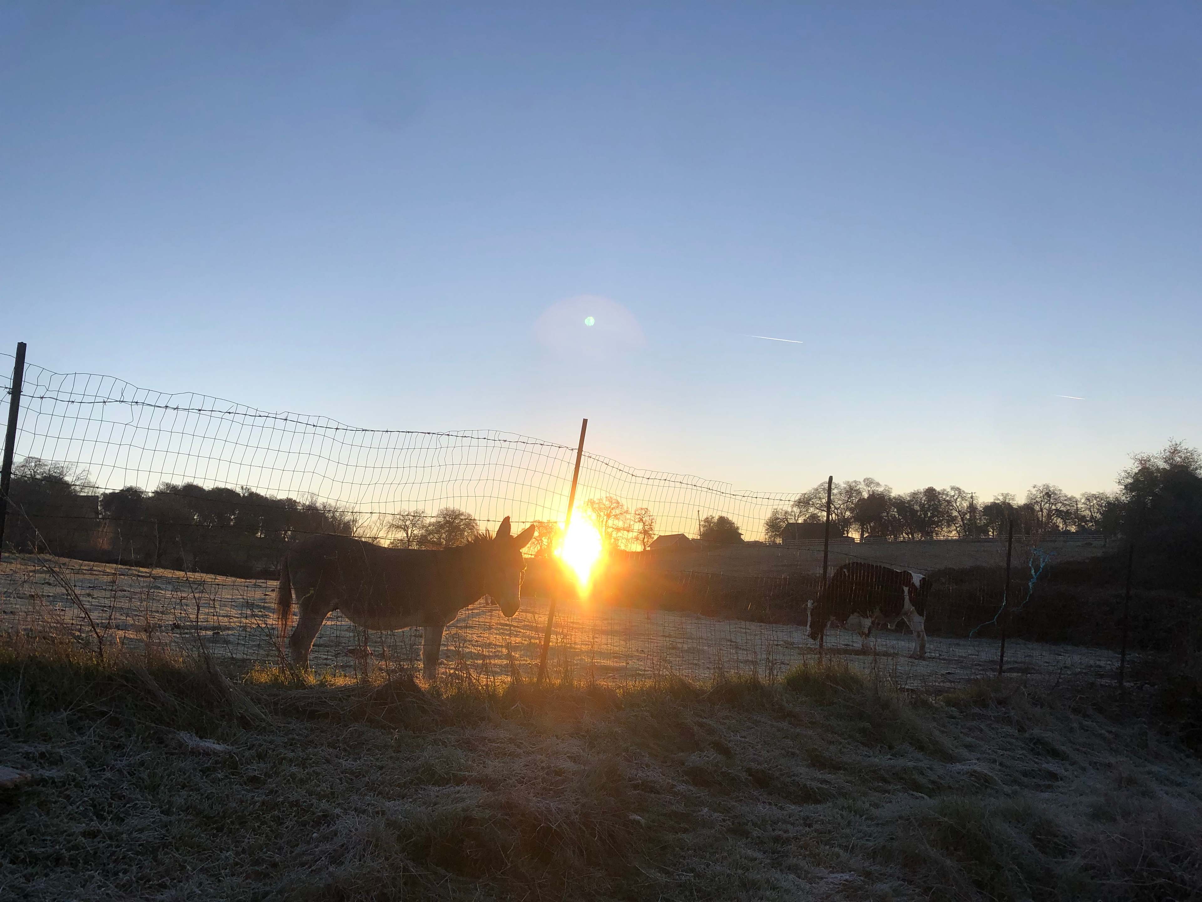 Love Creek Sanctuary!