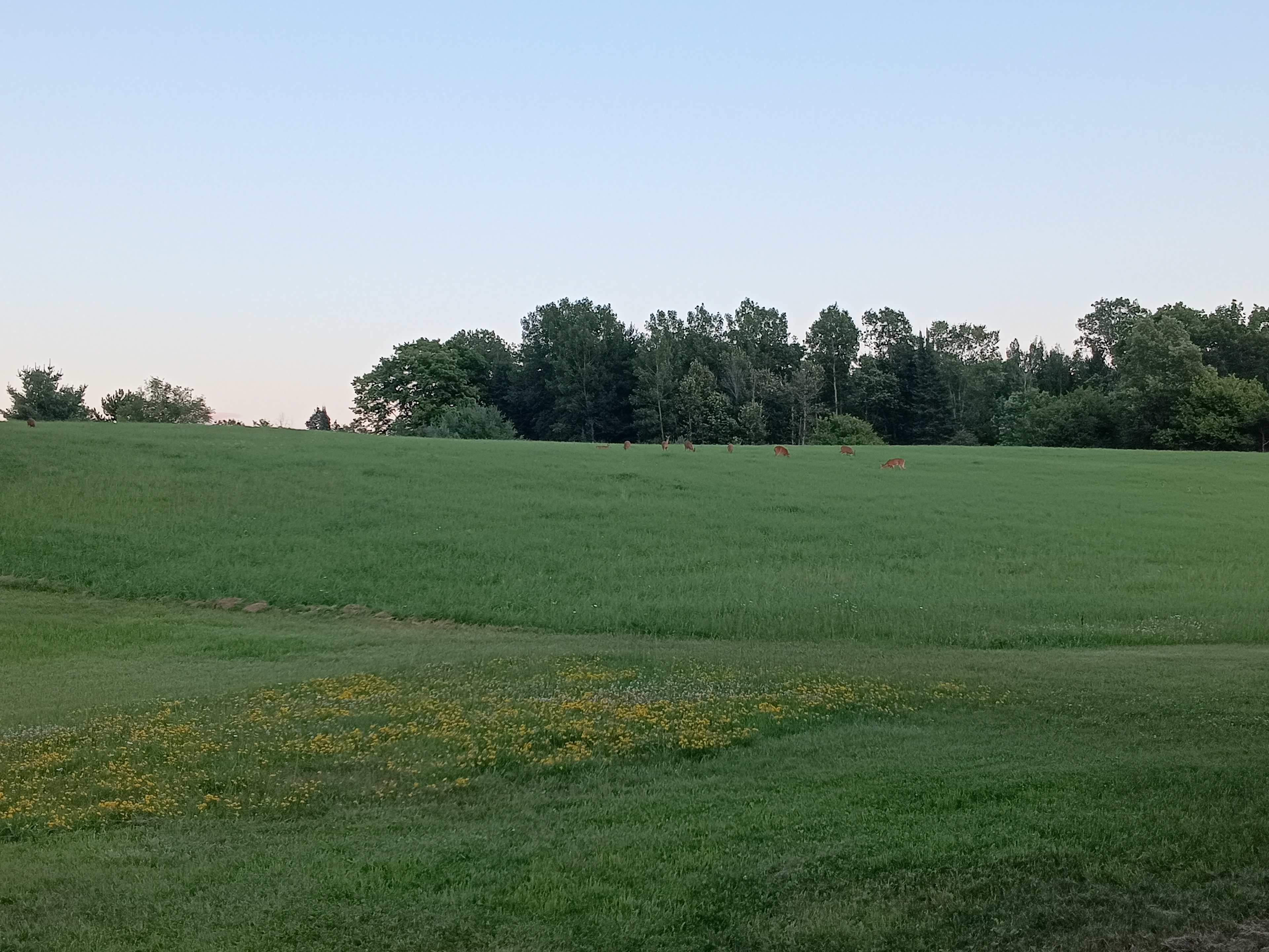 Green Acres