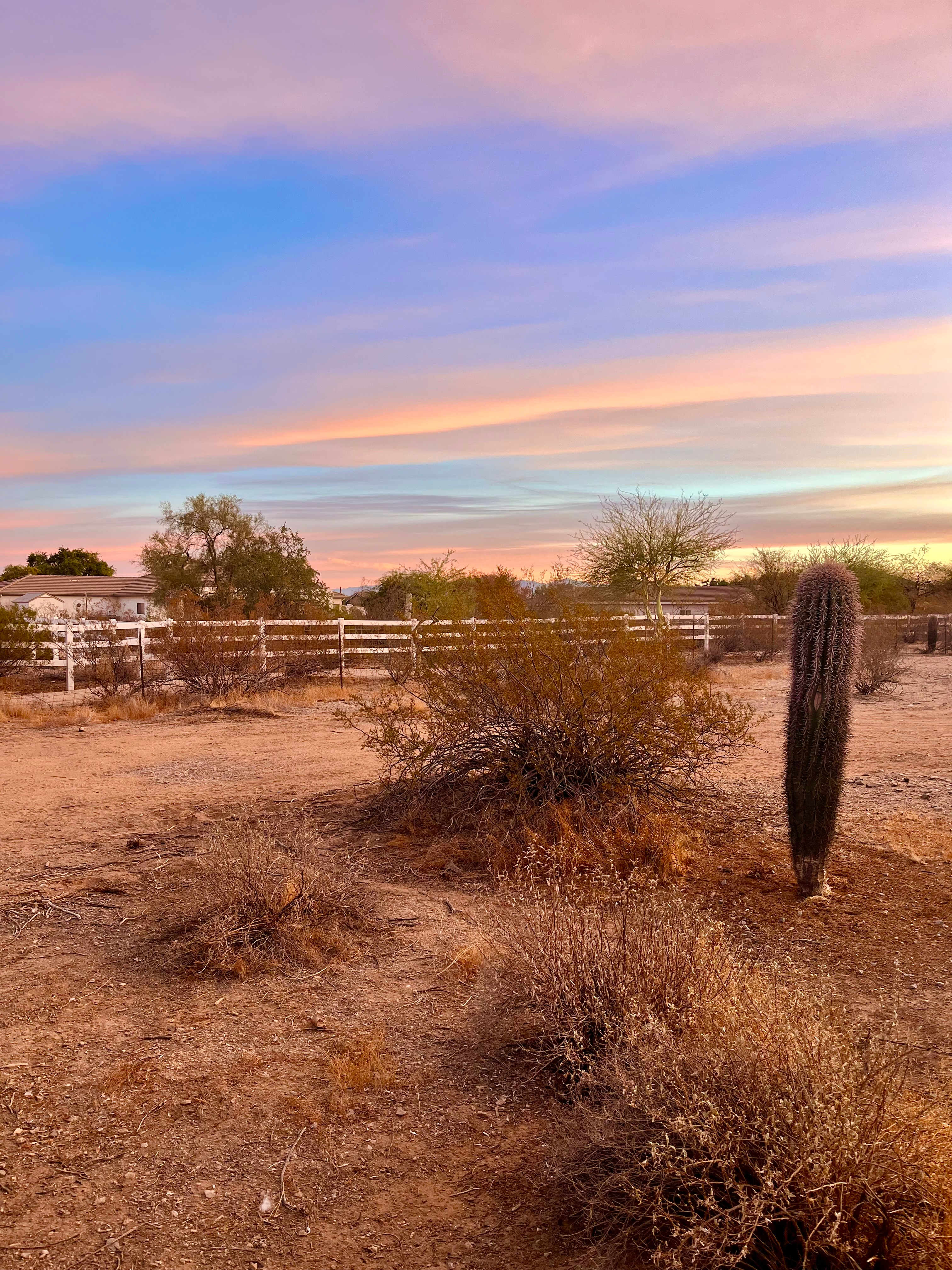 Santan Mountain Views