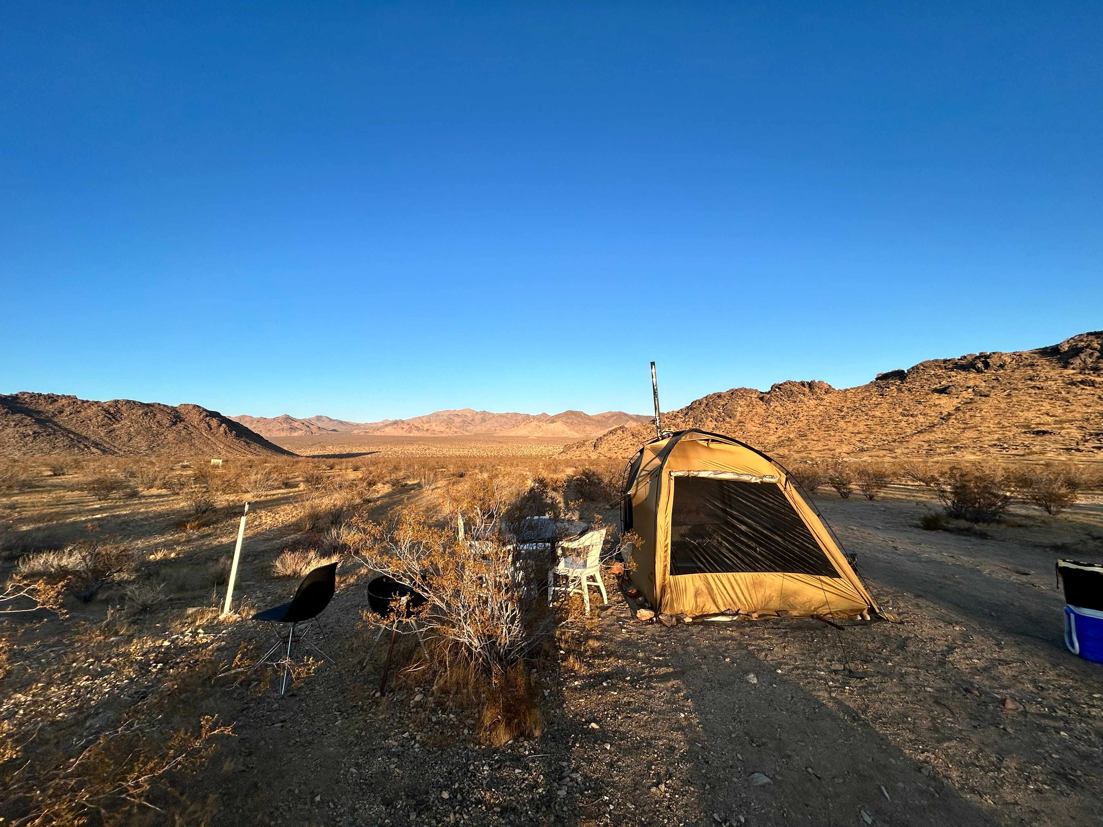 Mojave Moonlight Camping
