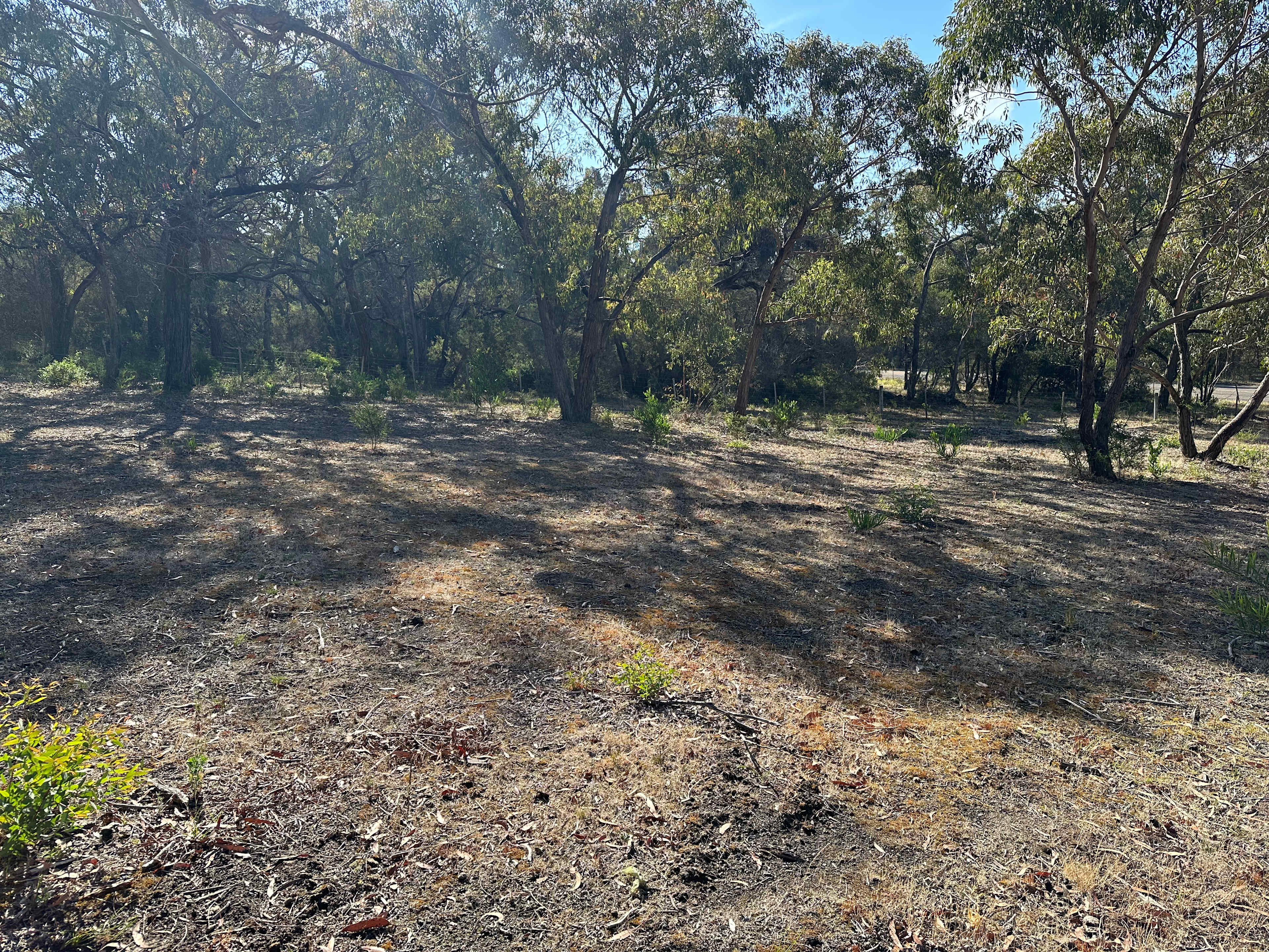 Bellbrae Bush Retreat