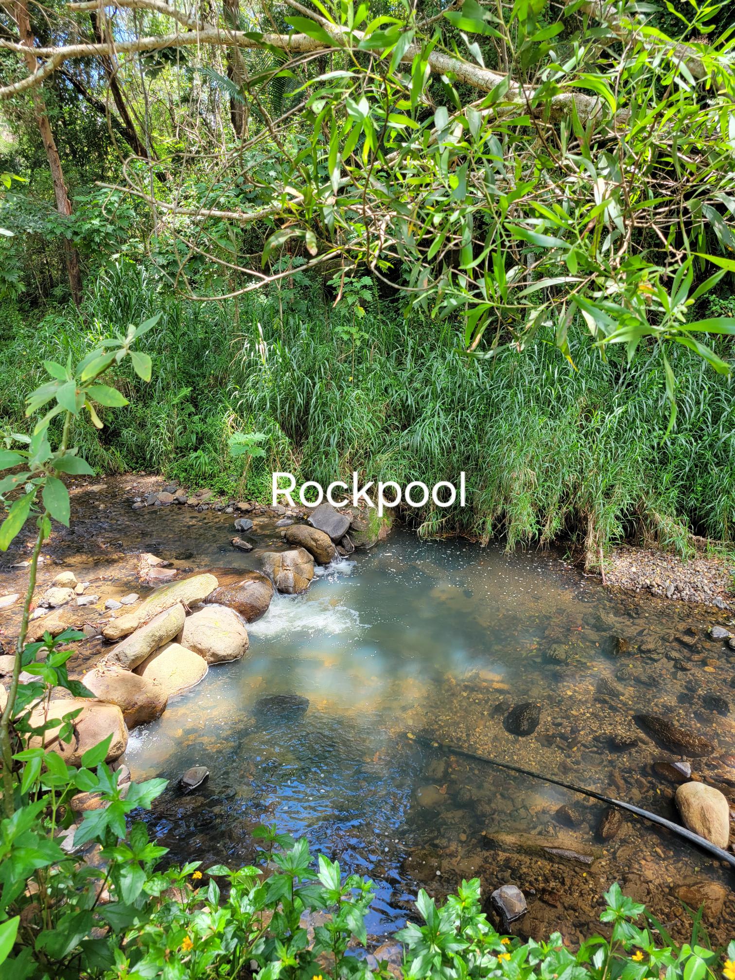 Tranquil Rainforest Retreat