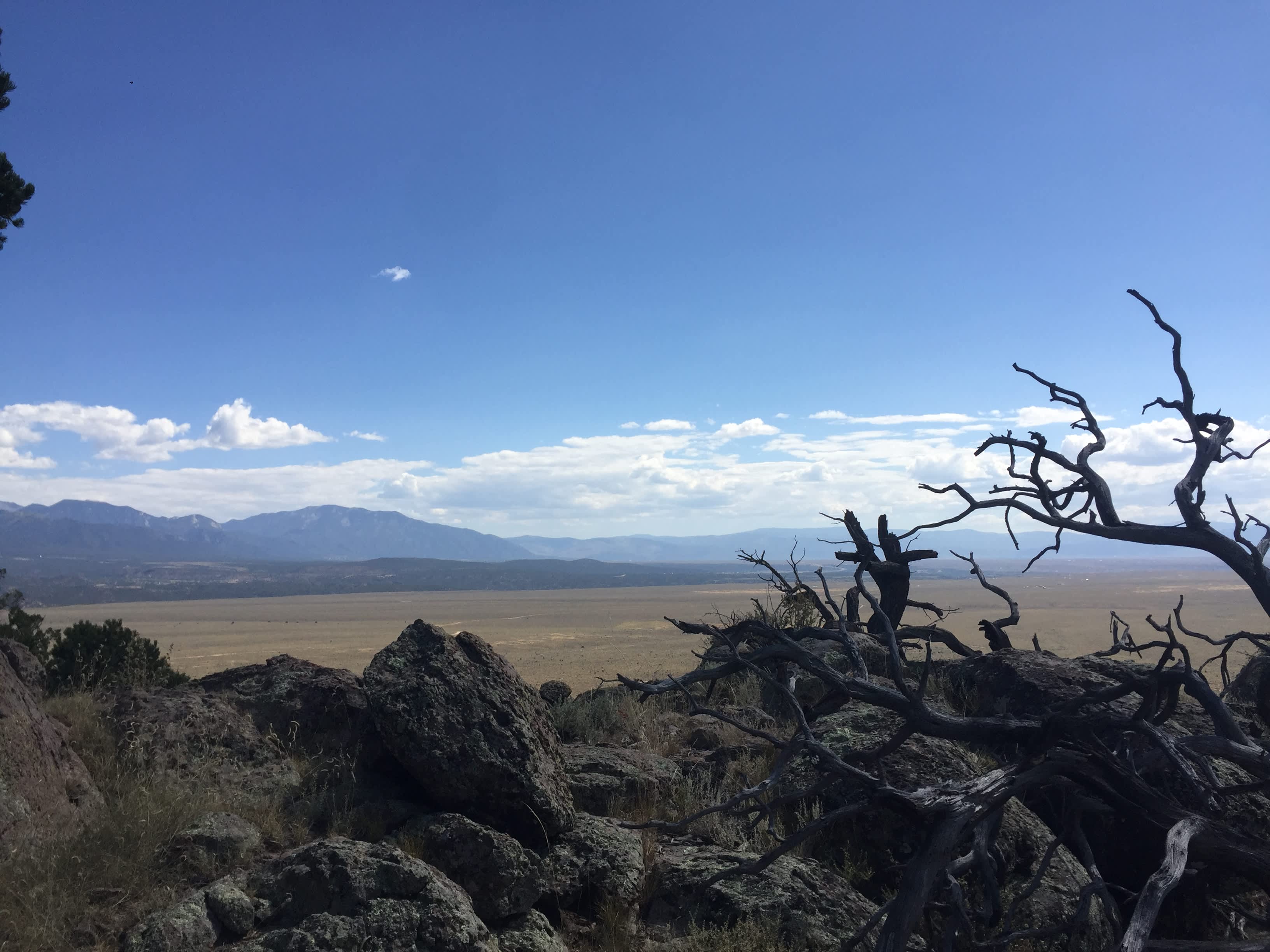 View from the Lookout