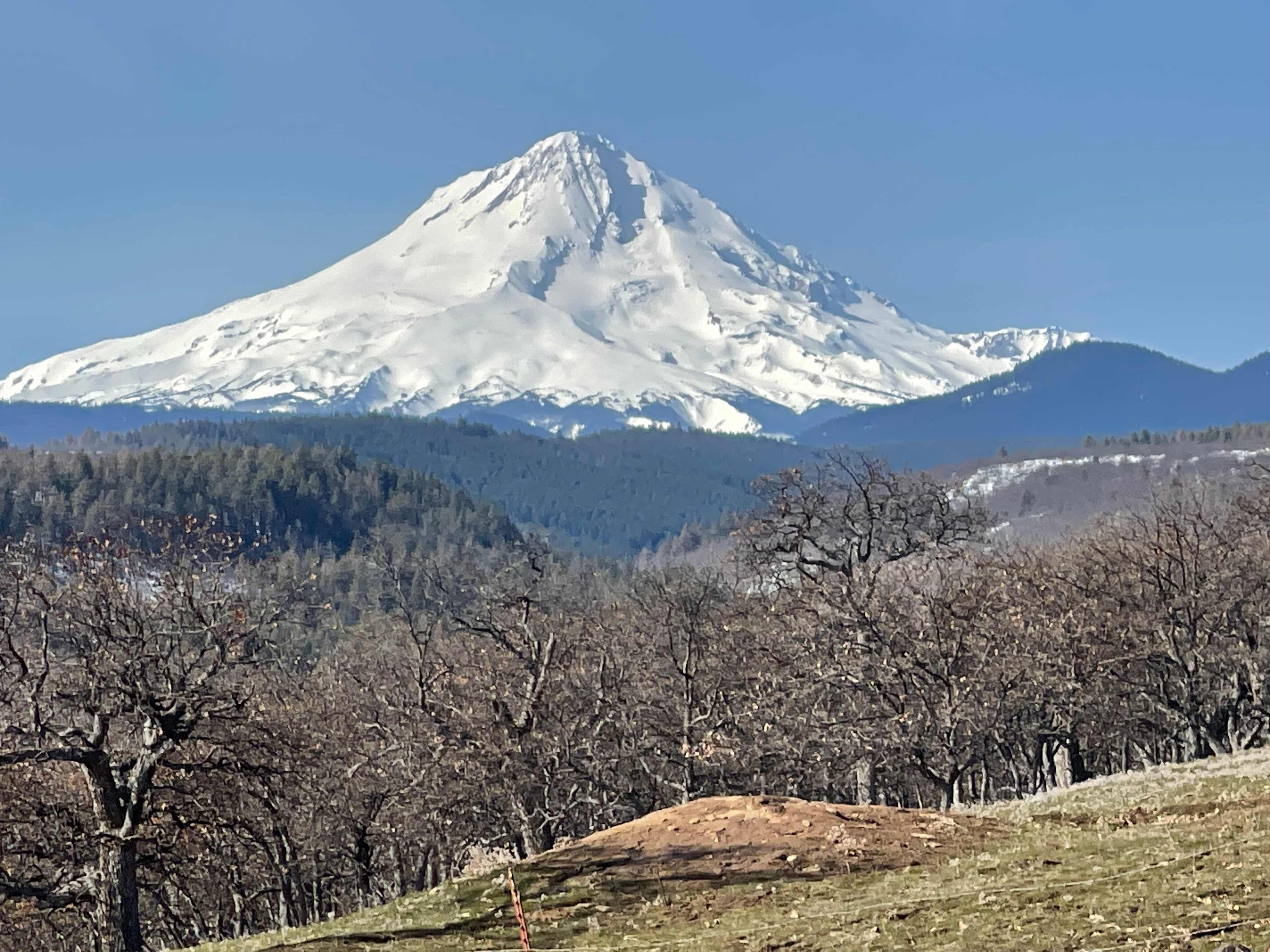 Beautiful view of Mt. Hood