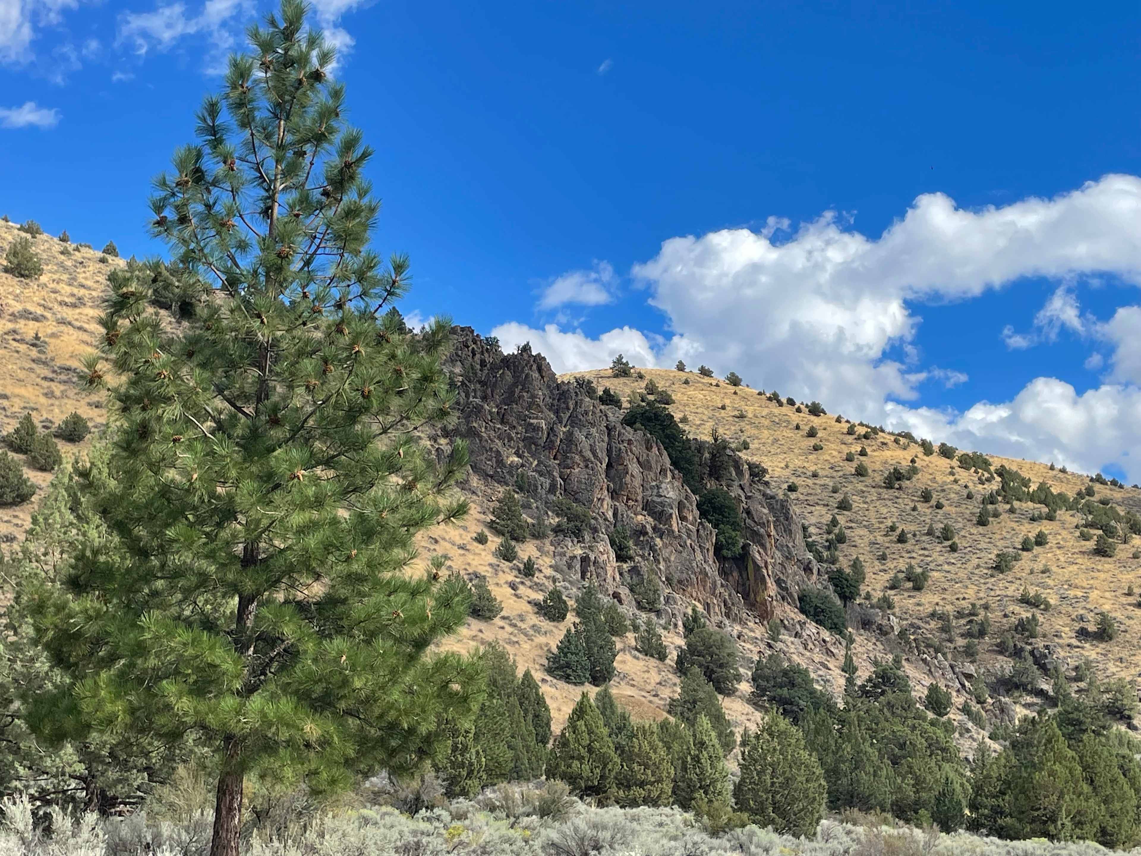 Two Horses Ranch