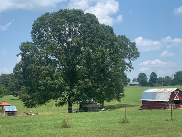 The Little Red Barn RV Sites