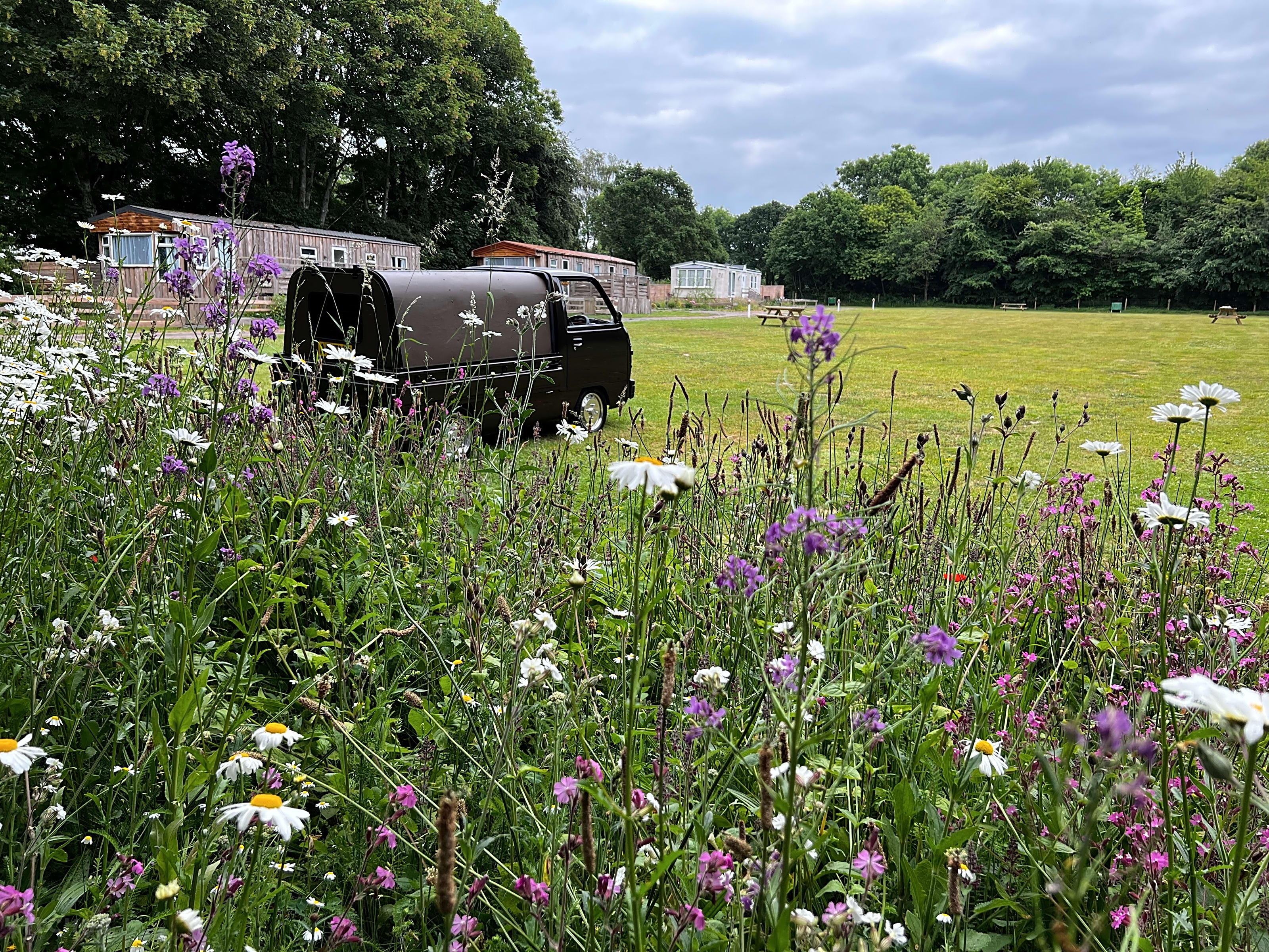 Postwood Gardens Campsite