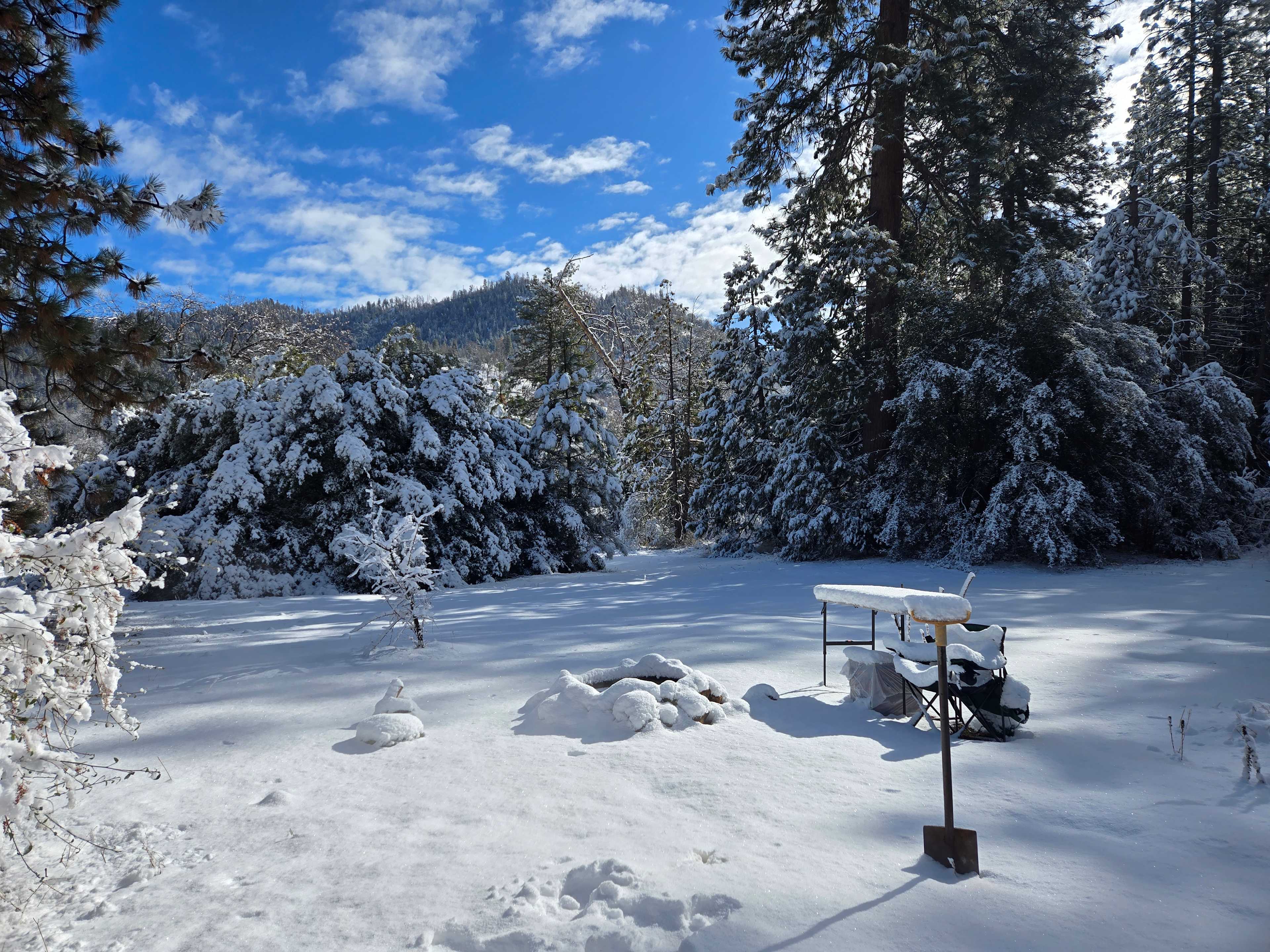 Thistledew Ranch