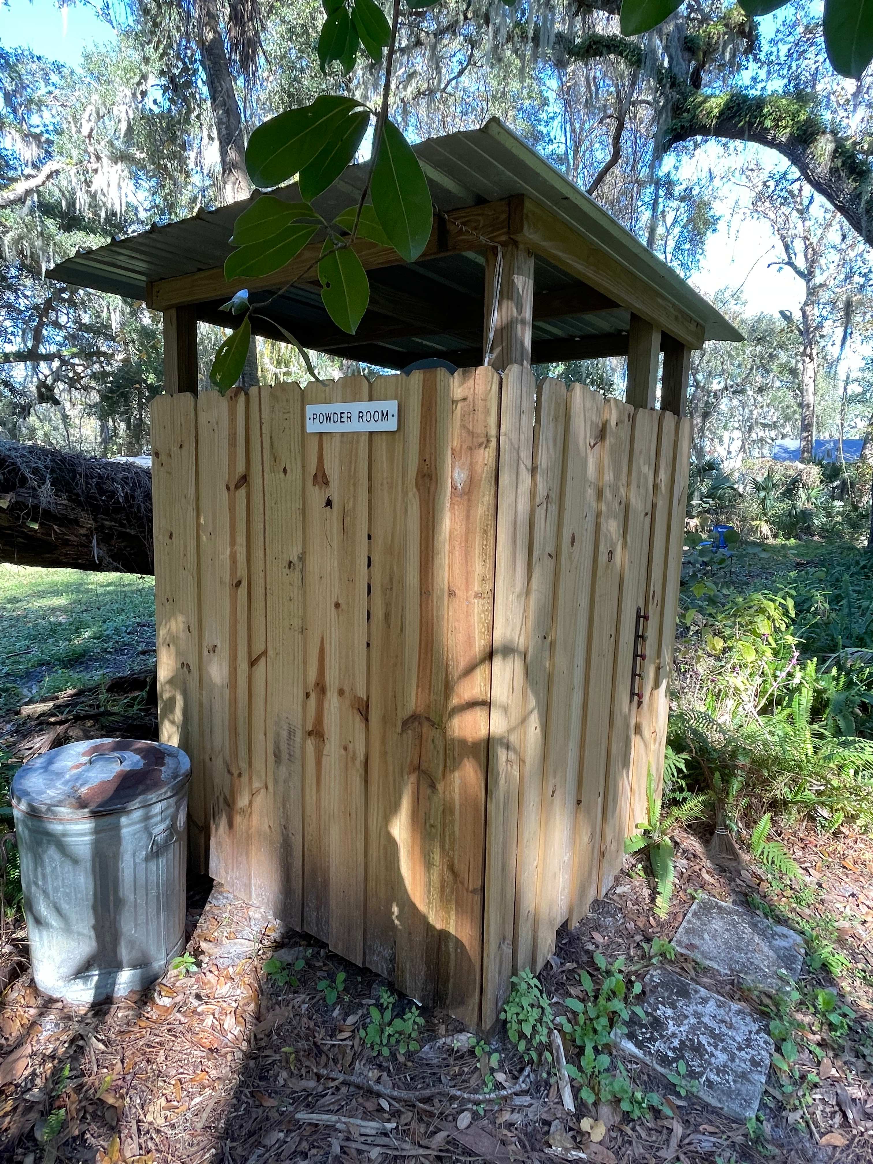 Camp Wild Fern