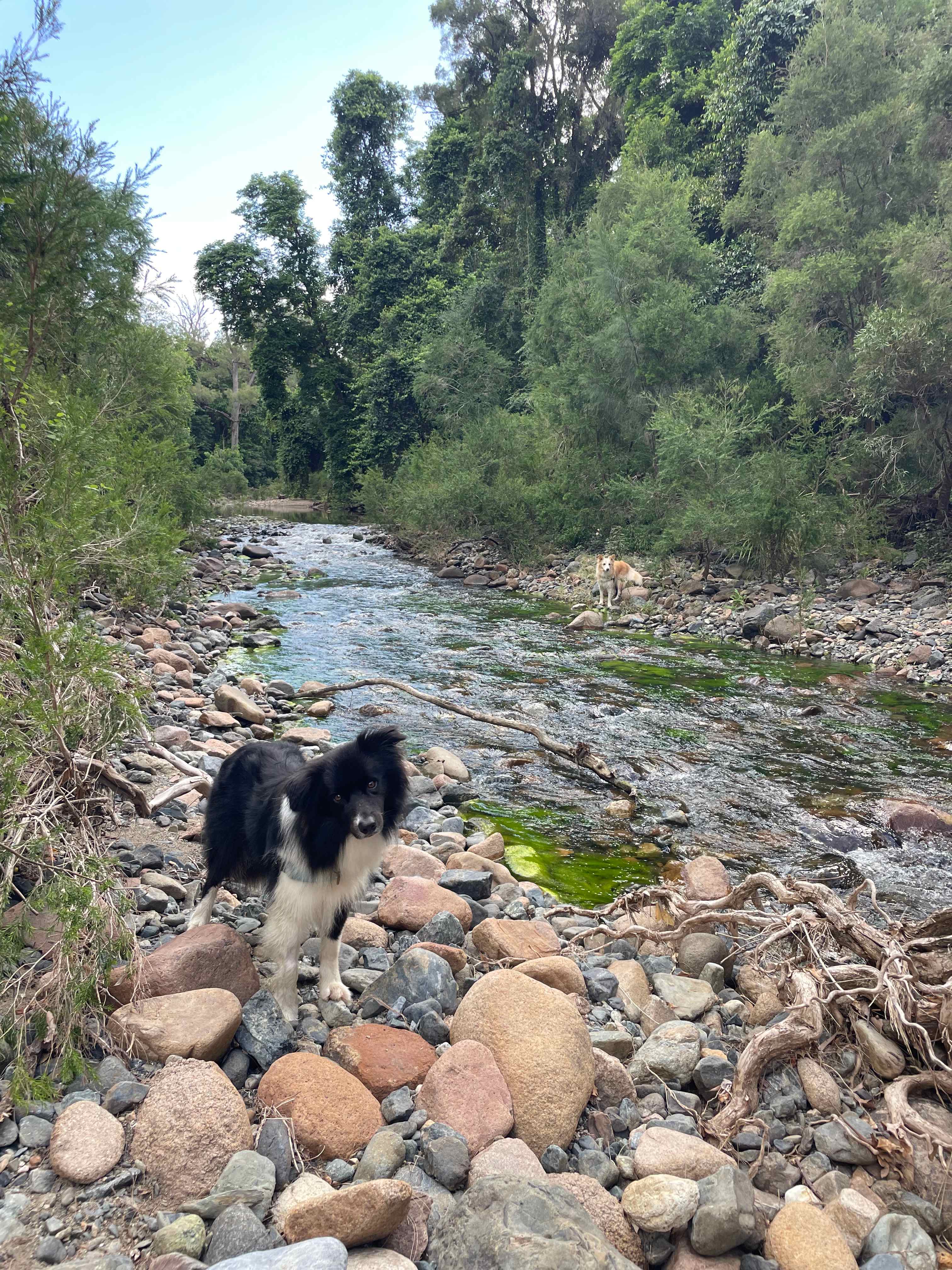 Creek View Place