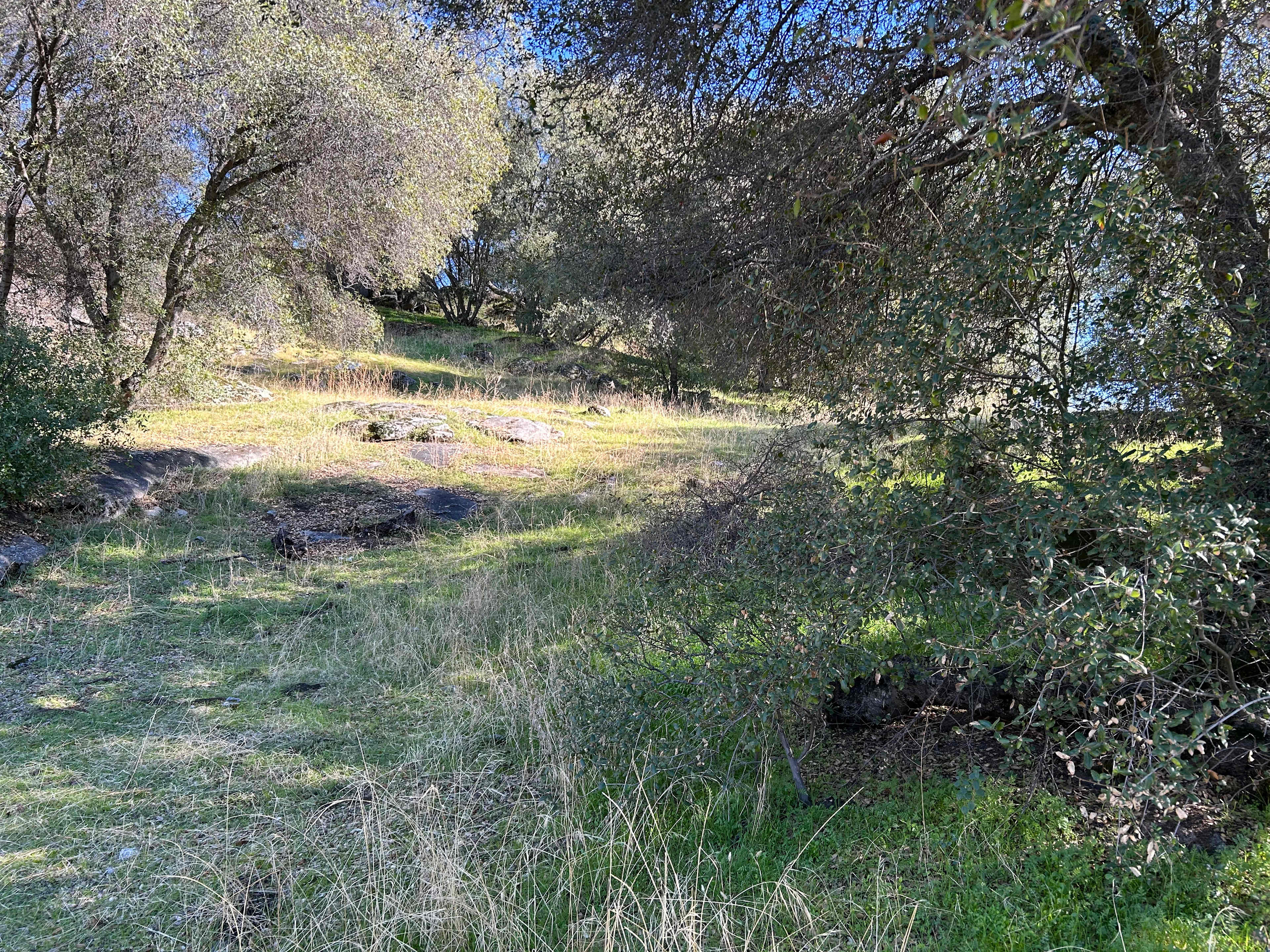 Bonnie Sawyers Place