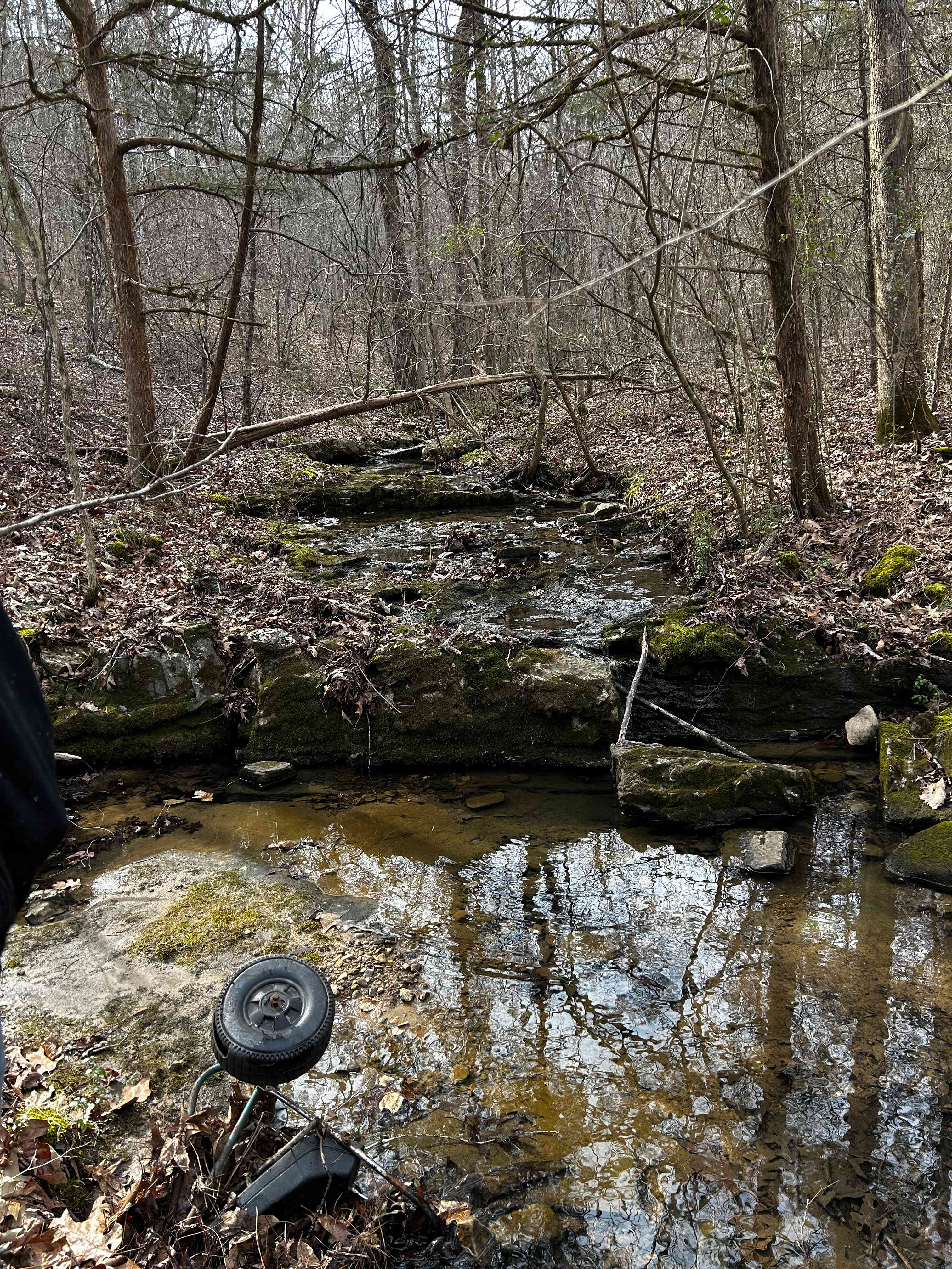 Spring Holler Farm