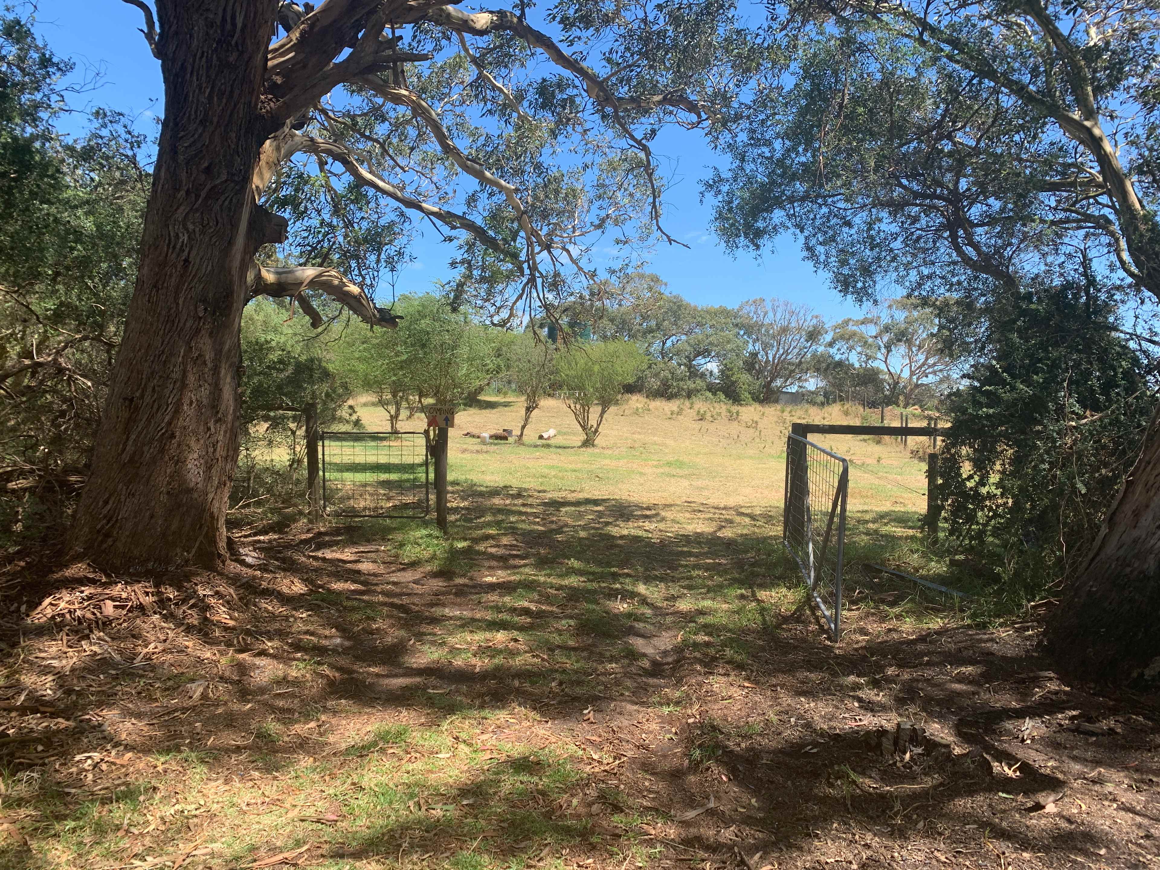 Sandy Point Farm Camp
