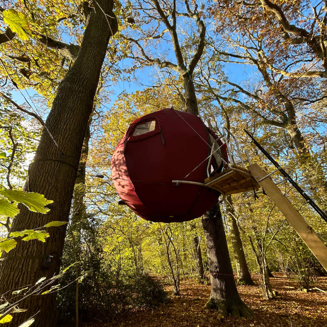 Strawberry Lane Tree Tent campsite